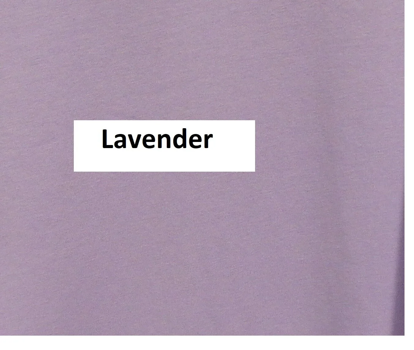 Lavender Shirt.jpg