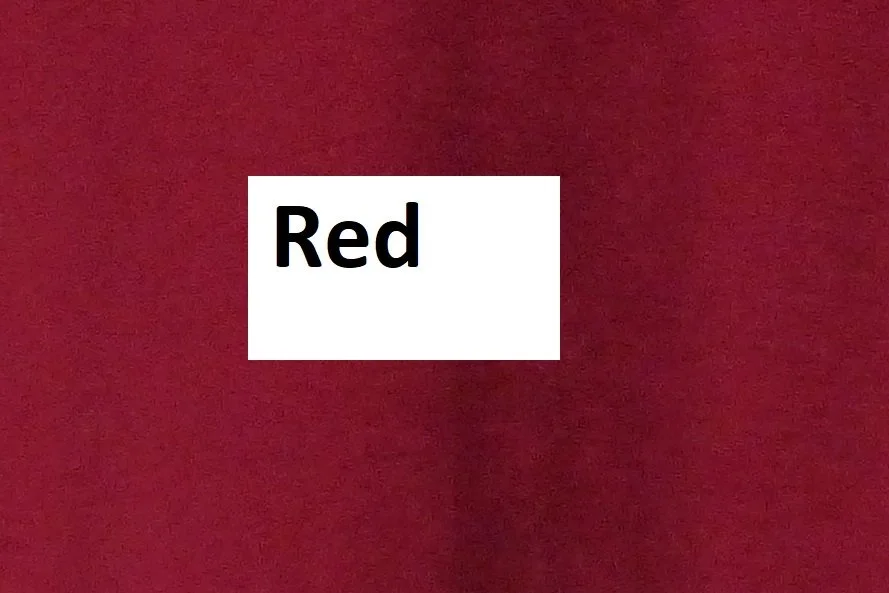 Red Fleece.jpg