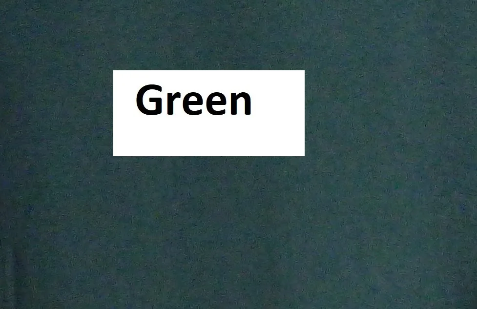 Green Fleece.jpg