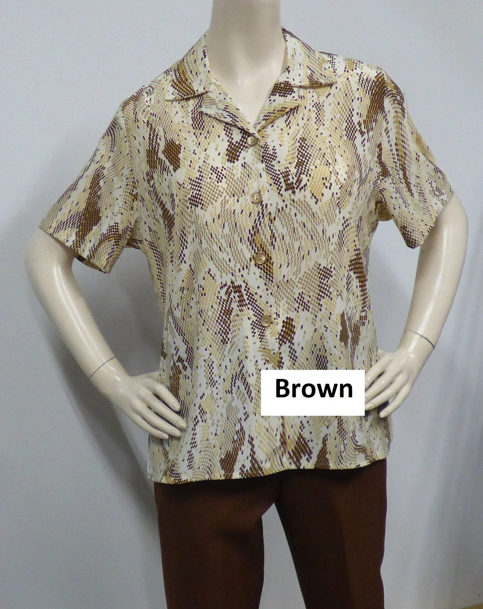 Brown blouse.jpg