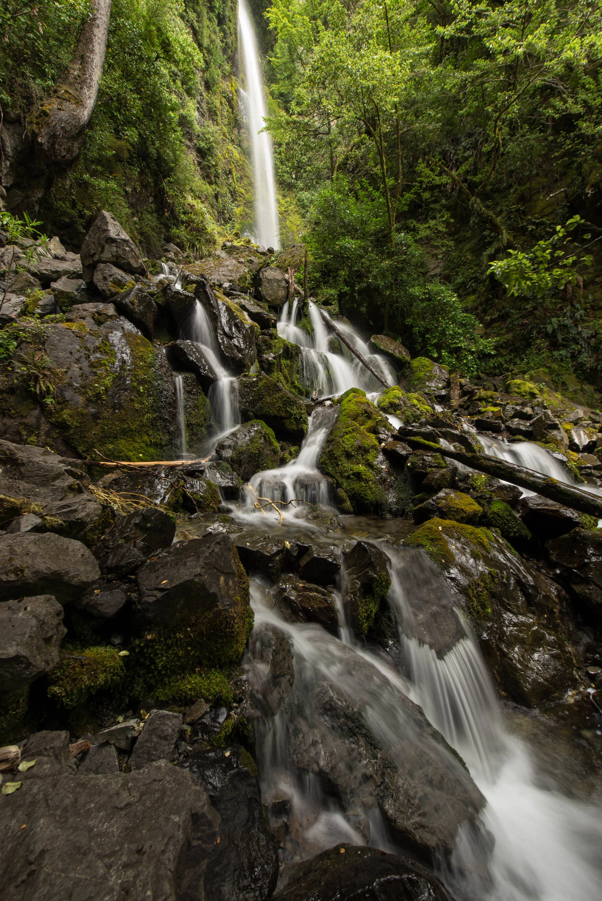 Nelson Lakes Fall.jpg