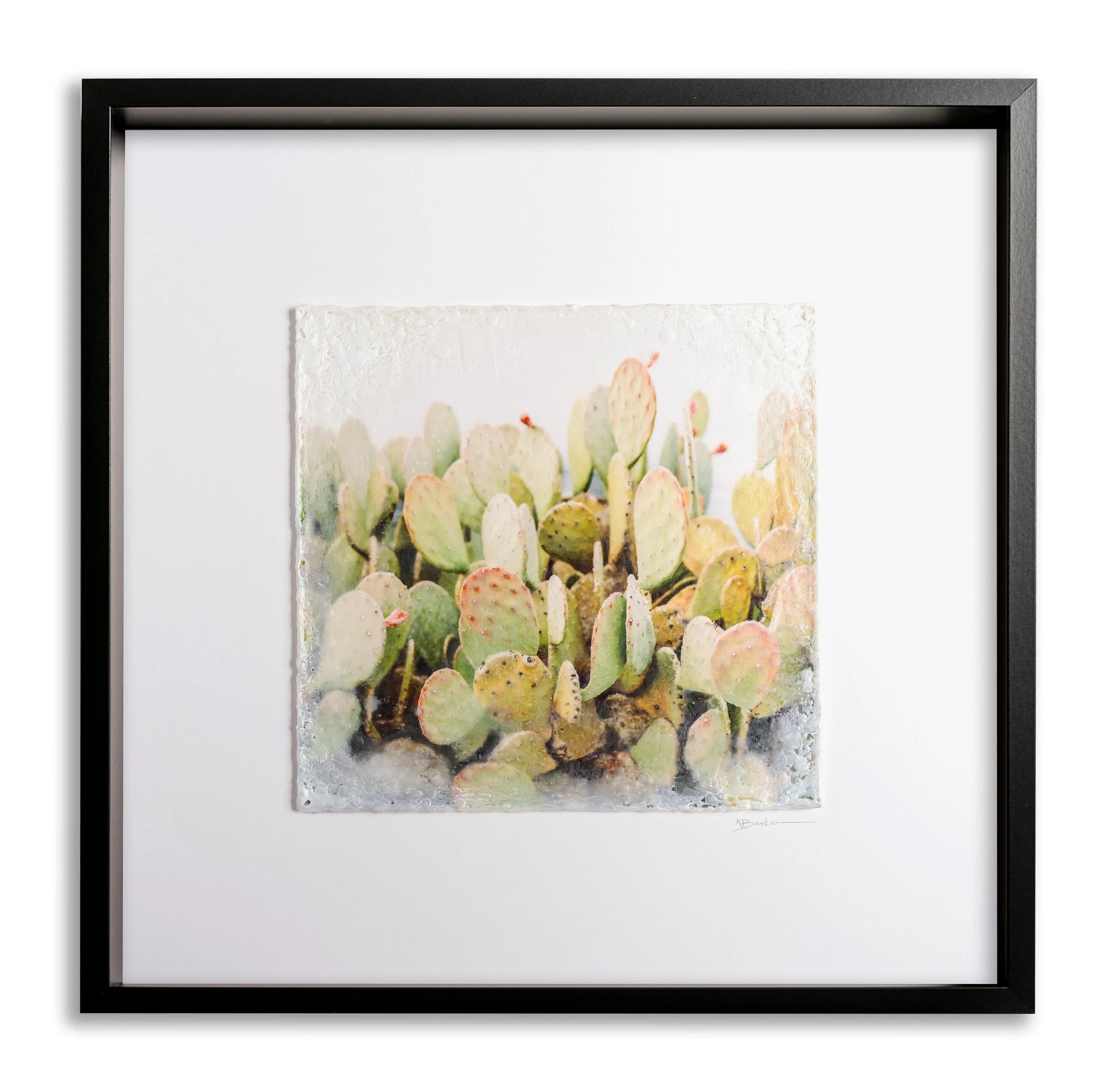 Big Skies Cactus Wall by Kayla Barker.jpg
