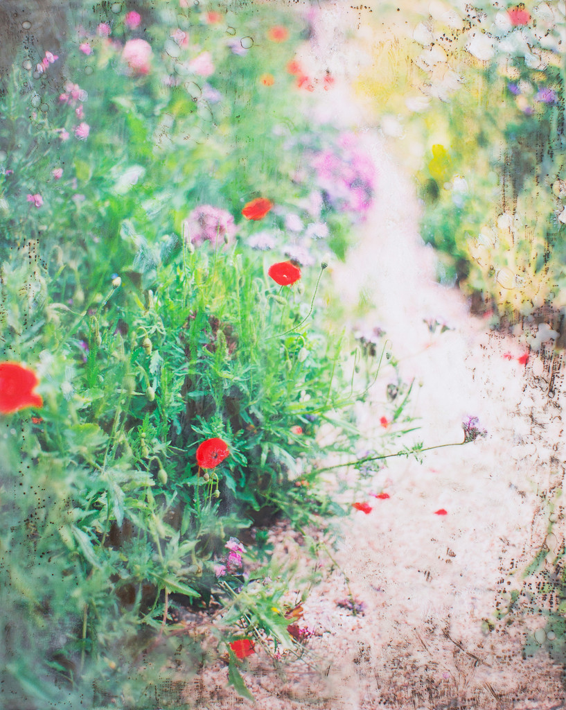 Monet's Garden Path