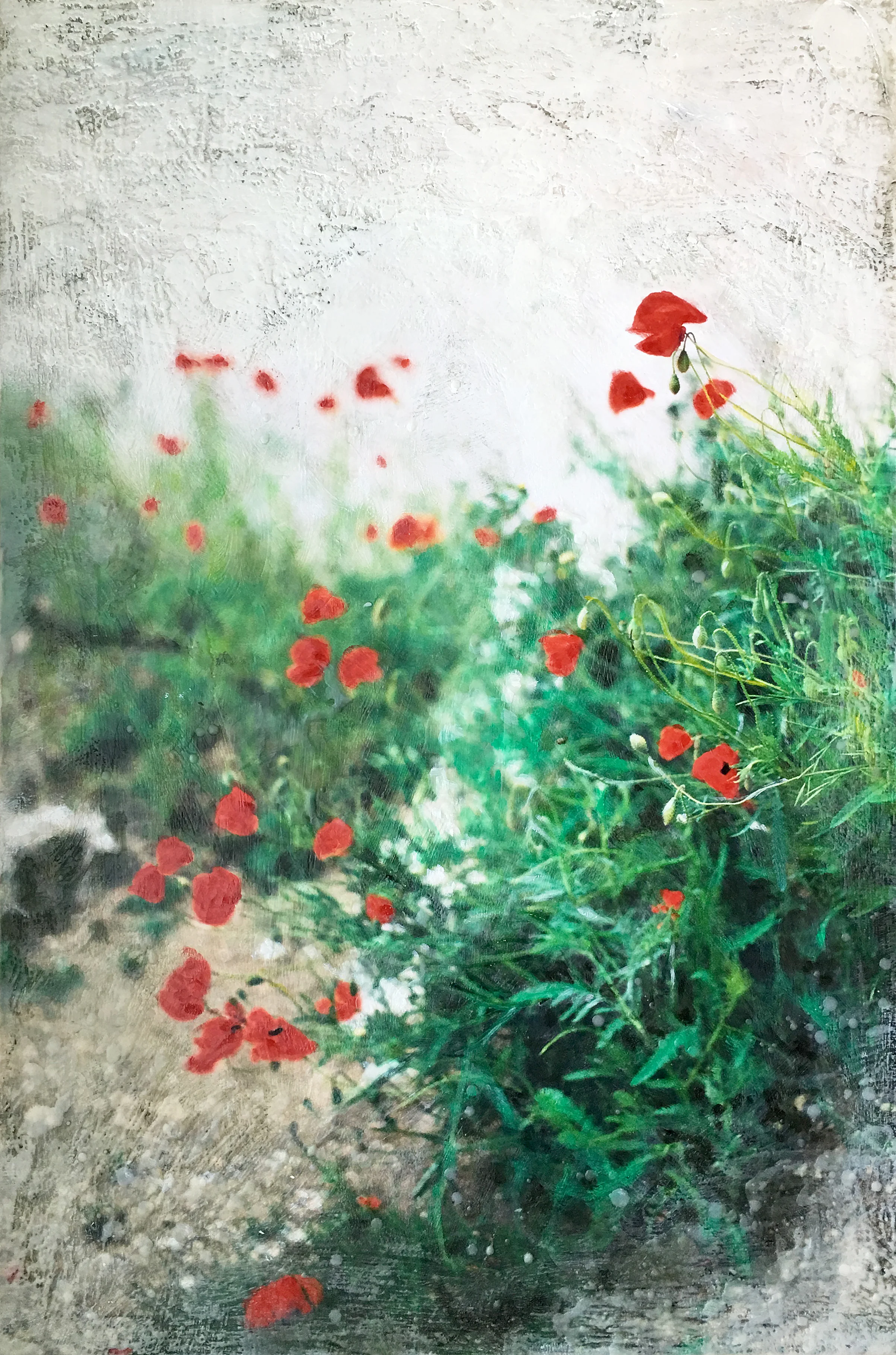 Poppies By the Church