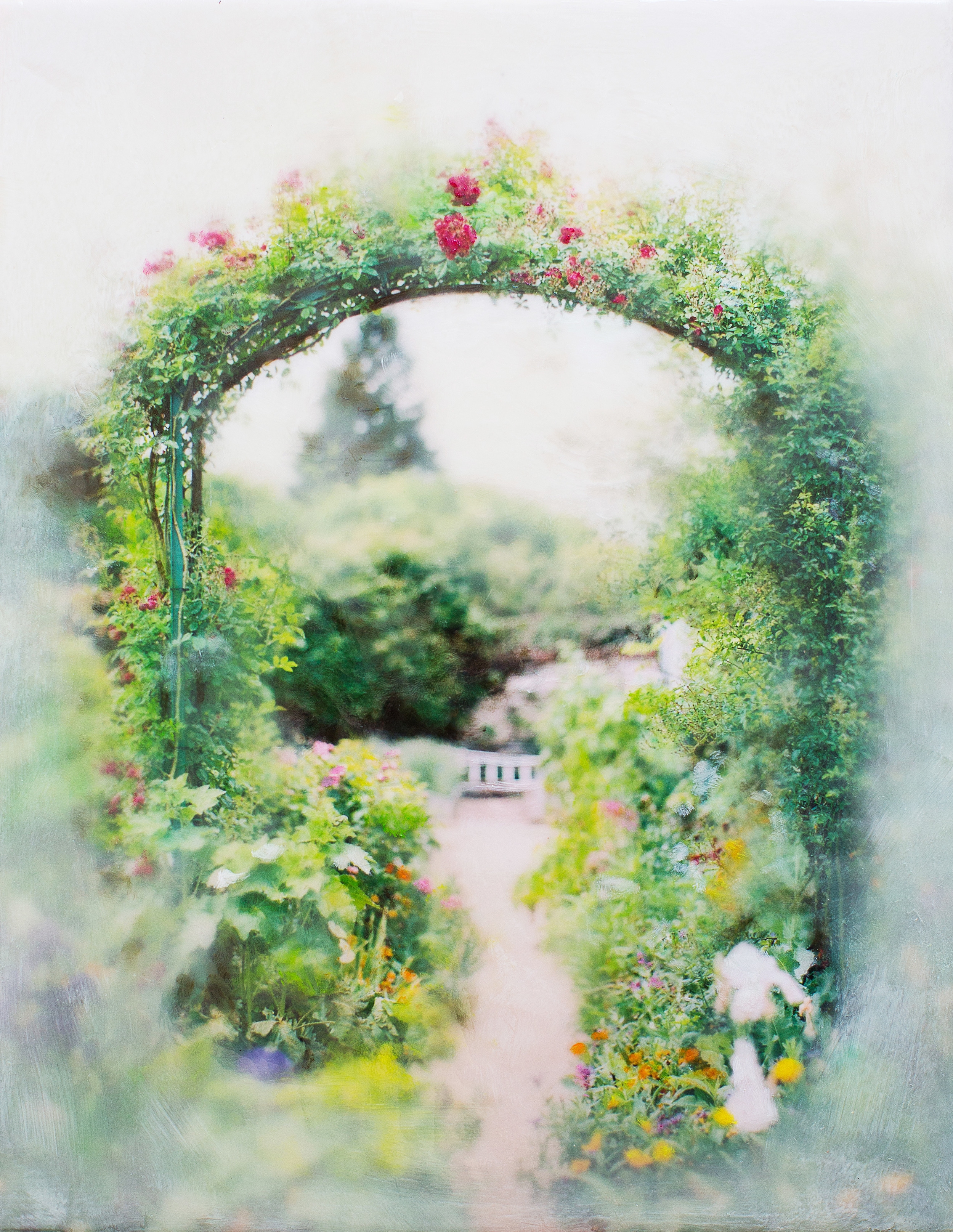 Stroll in Monet's Garden