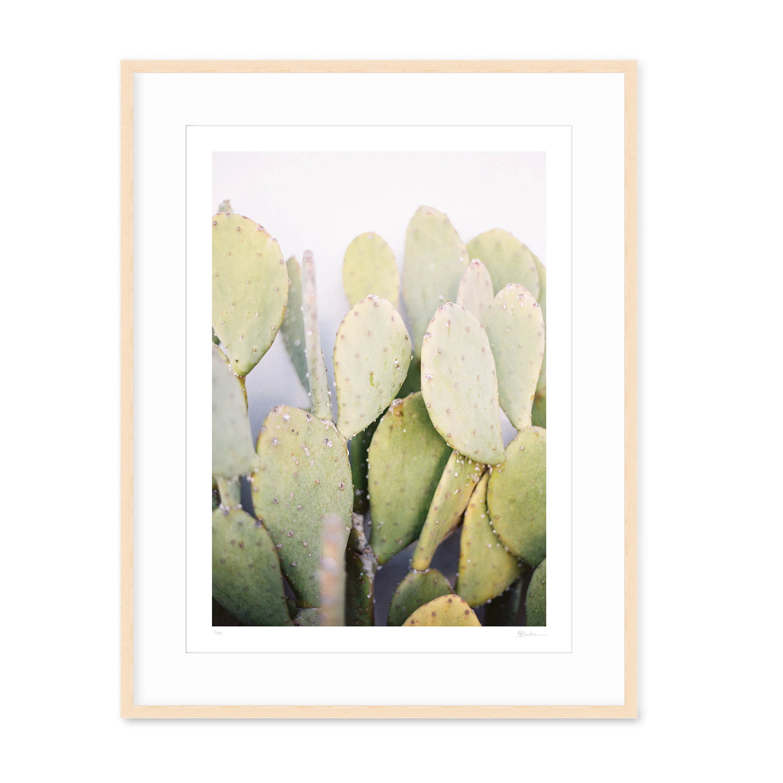 Kayla Barker Fine Art Photograph West Texas Prickly Pear Natural Frame.jpg