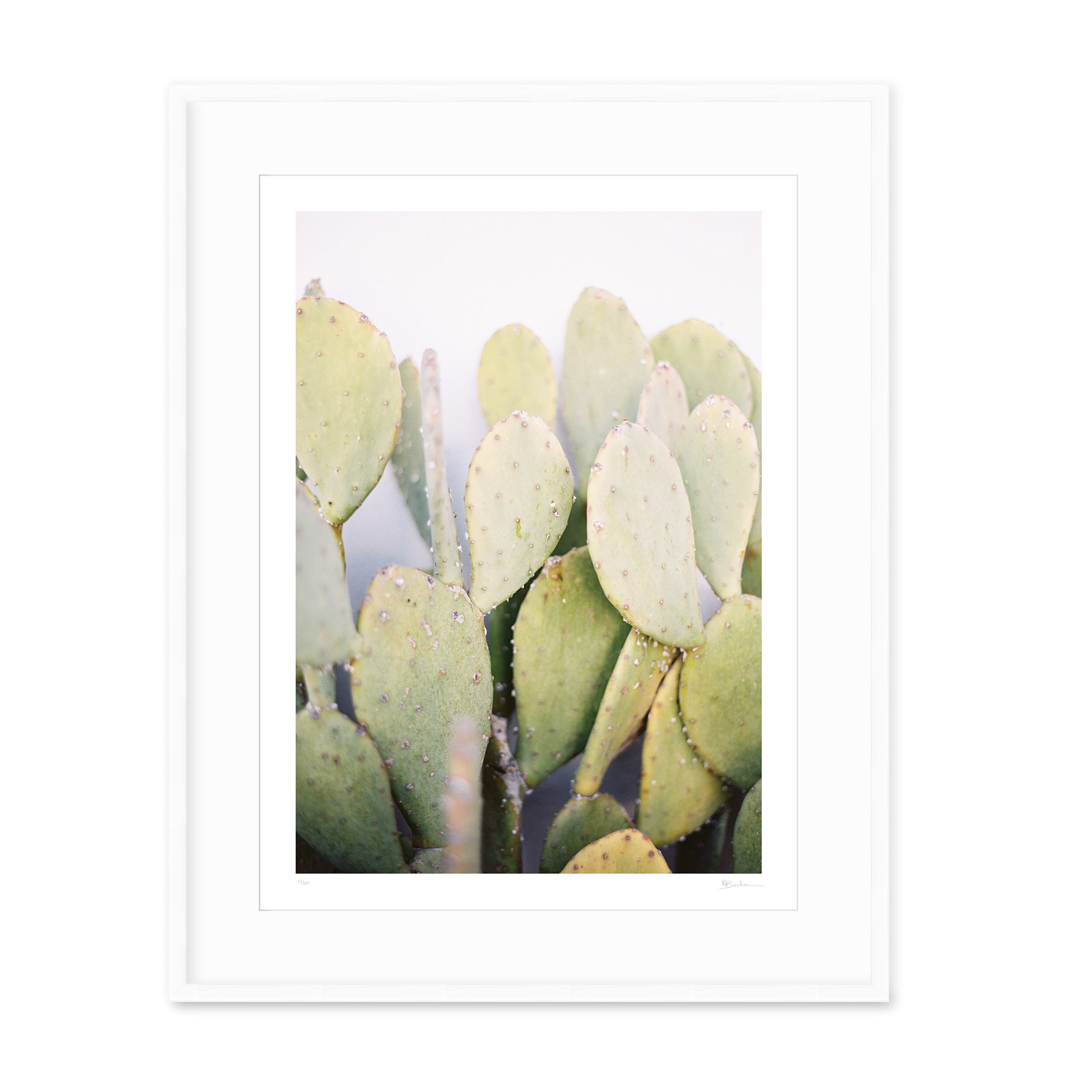 Kayla Barker Fine Art Photograph West Texas Prickly Pear White Frame.jpg