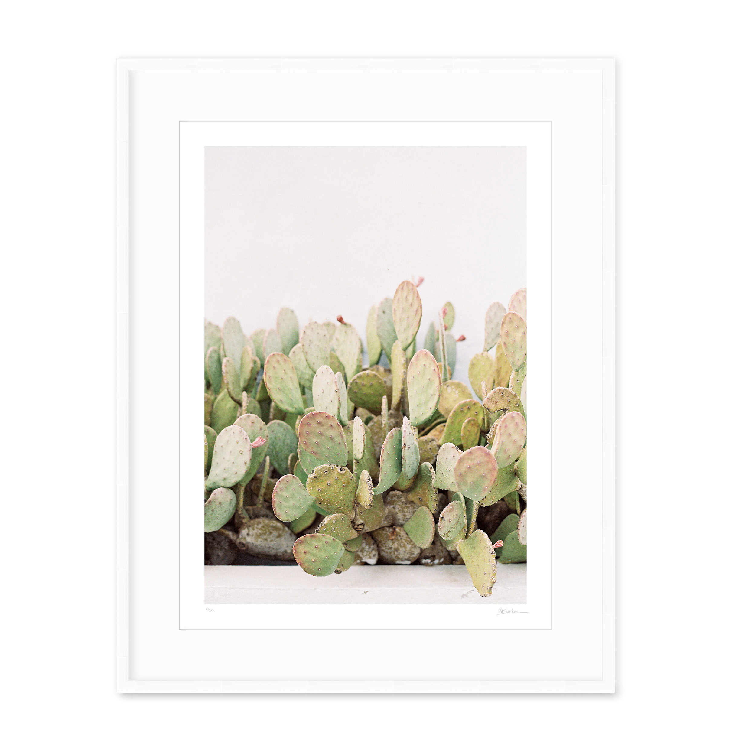 Kayla Barker Fine Art Photograph West Texas Cactus Wall White Frame.jpg