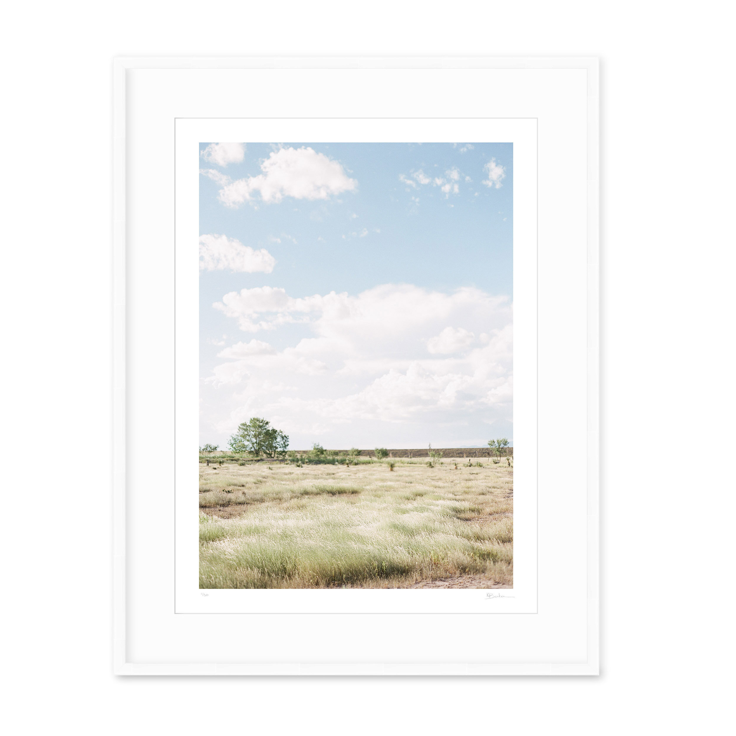 Kayla Barker Fine Art Photograph West Texas Plains White Frame.jpg