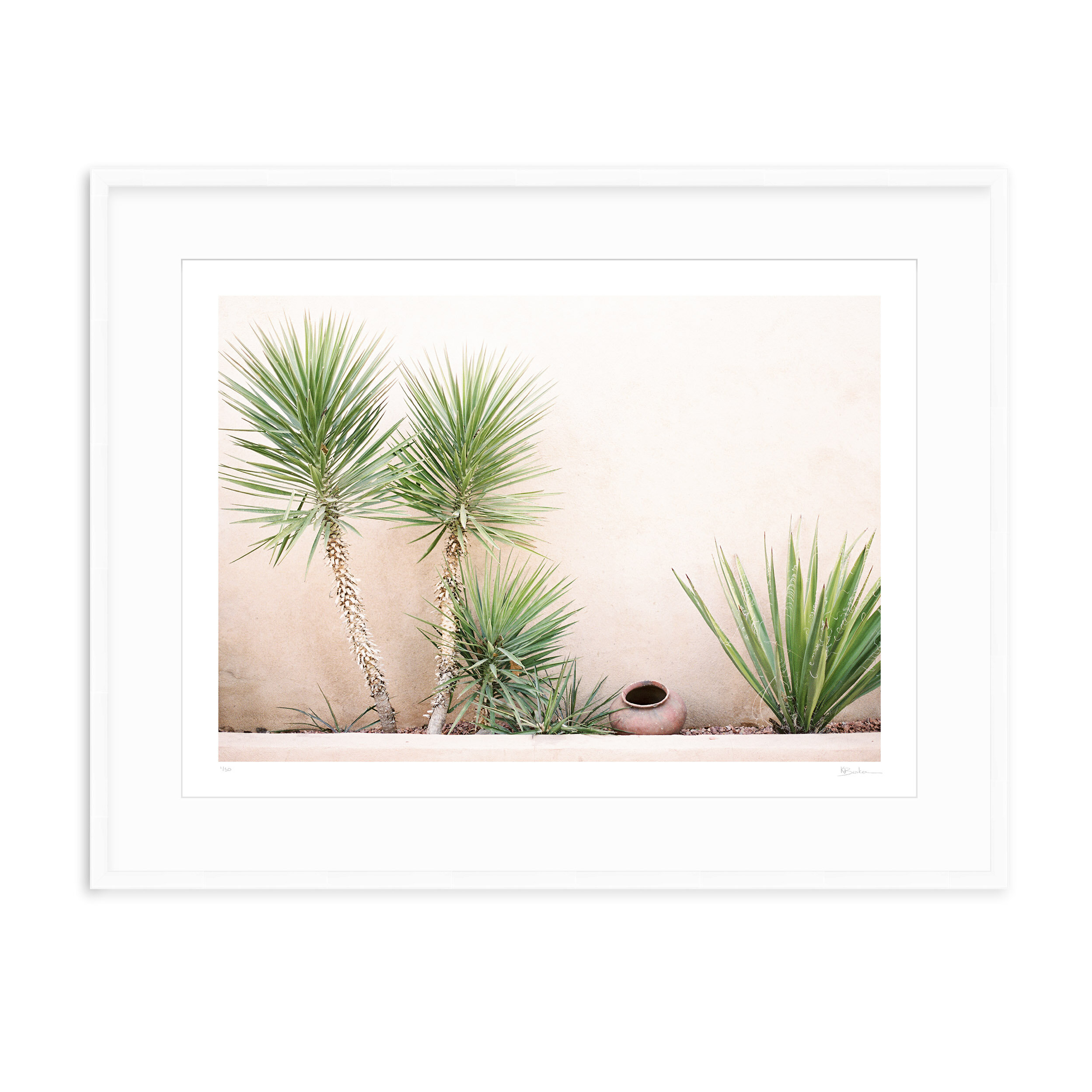 Kayla Barker Fine Art Photograph West Texas Yuccas at The Gage White Frame.jpg