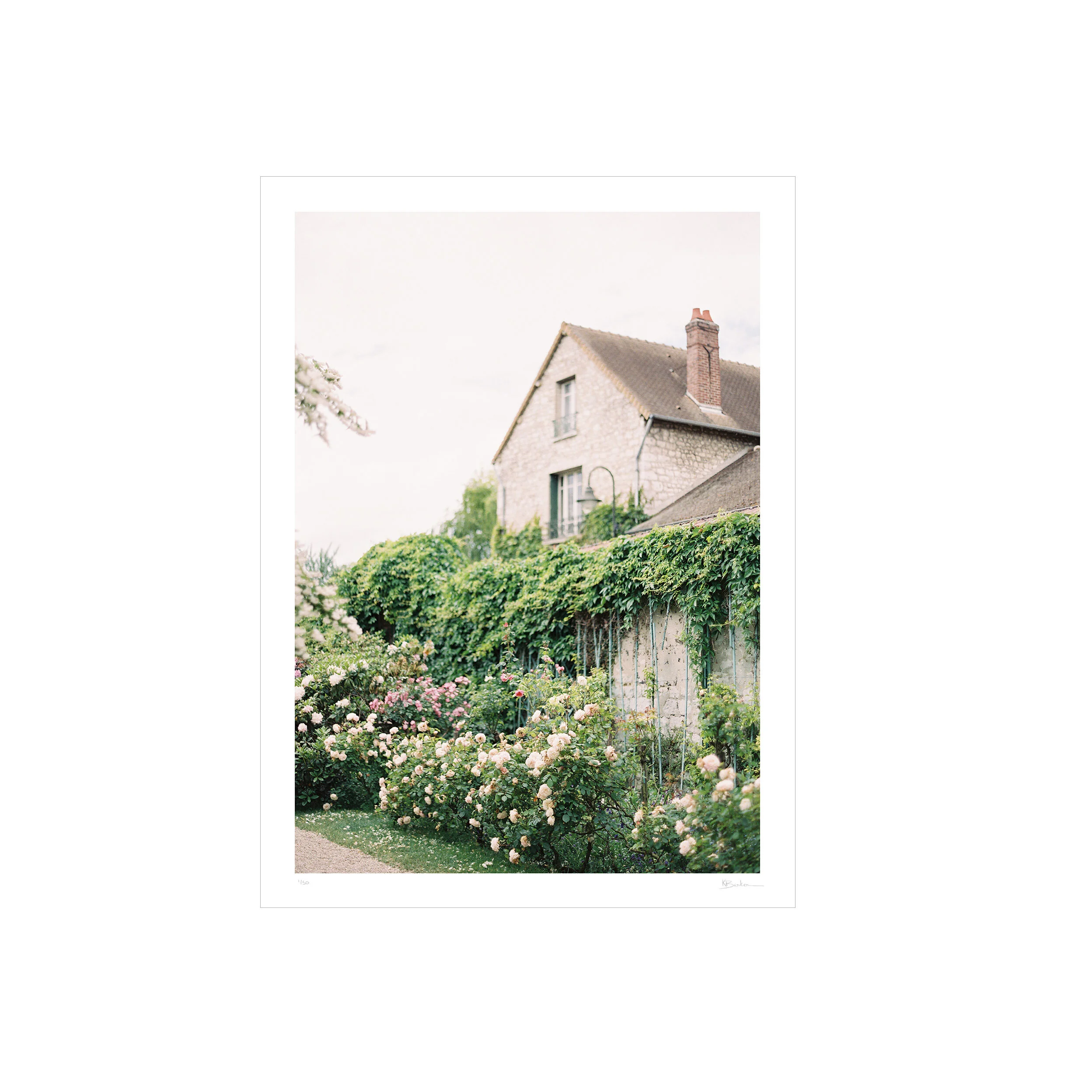 Kayla Barker Fine Art Photograph Monet's Garden Spring in the Garden Print.jpg