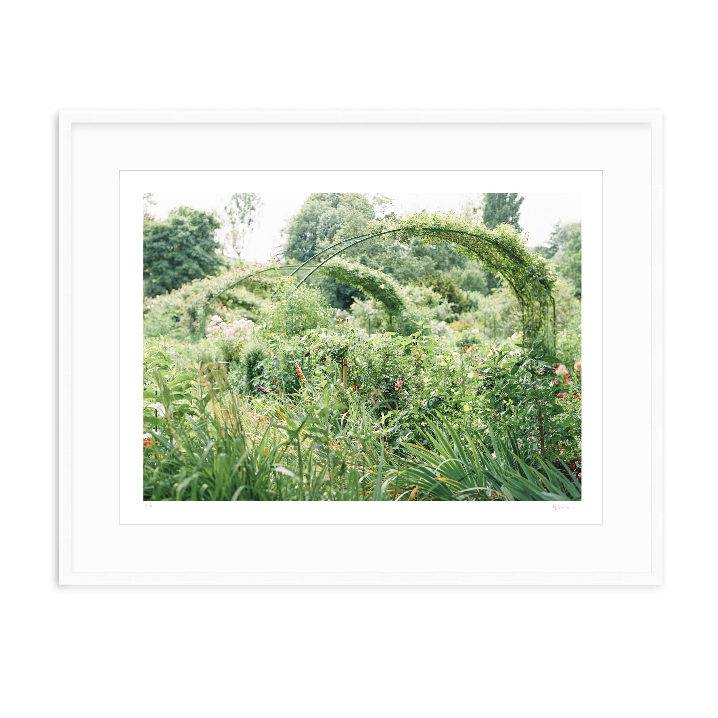 Kayla Barker Fine Art Photograph Monet's Garden Spring Arches White Frame.jpg