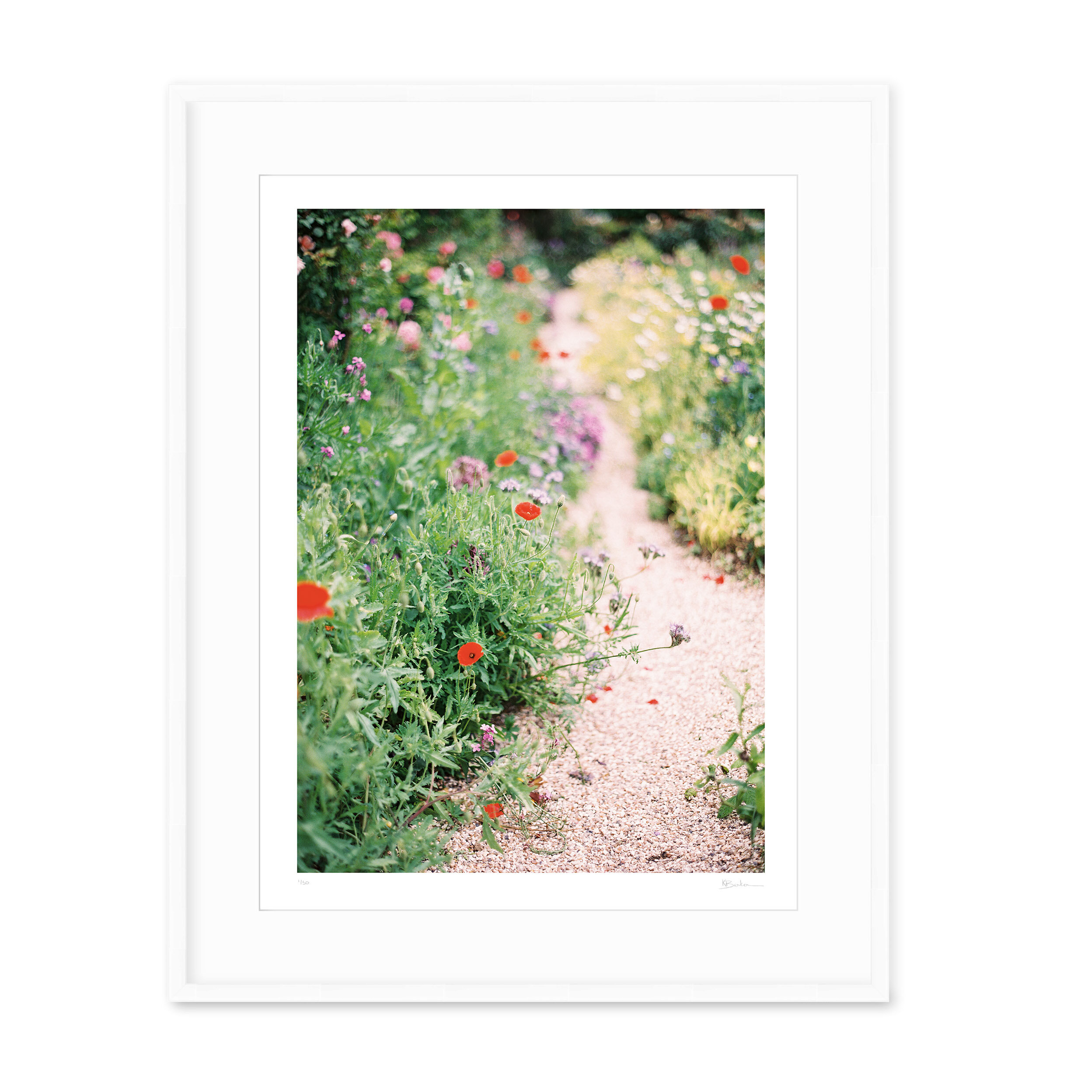 Kayla Barker Fine Art Photograph Monet's Garden Monet's Garden Path White Frame.jpg