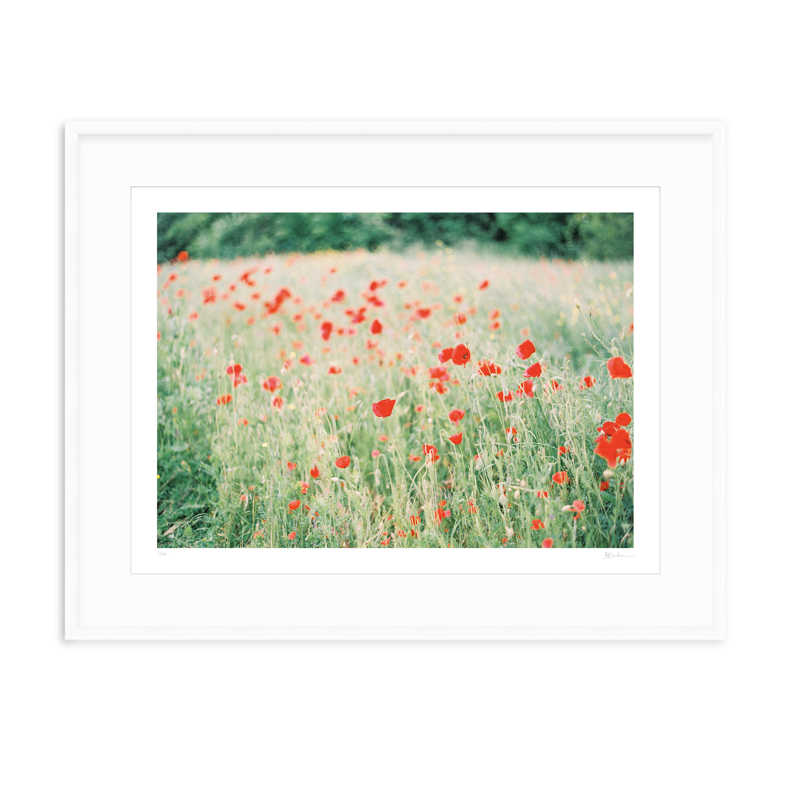 Kayla Barker Fine Art Photograph Monet's Garden Field of Poppies White Frame.jpg
