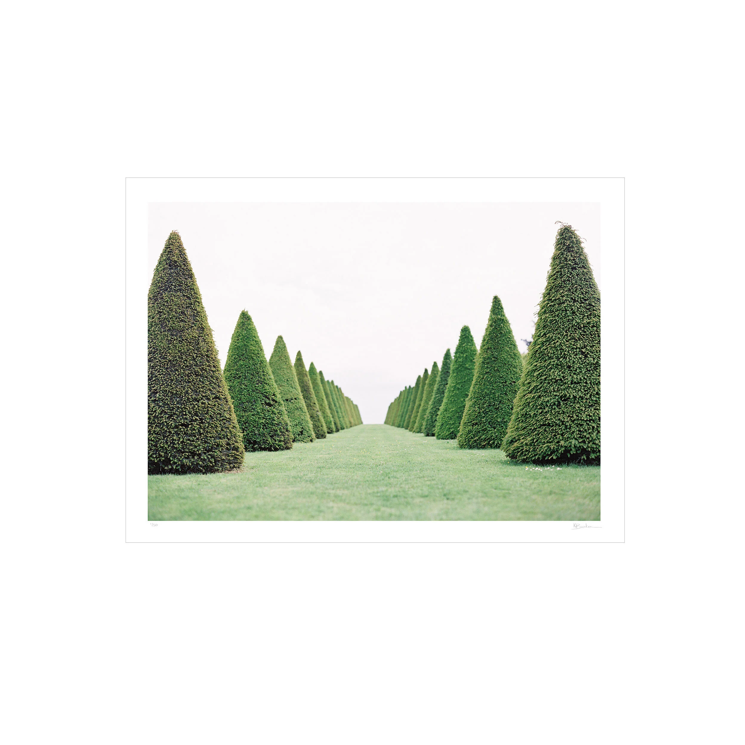 Kayla Barker Fine Art Photograph Paris Walking in Versailles Print.jpg