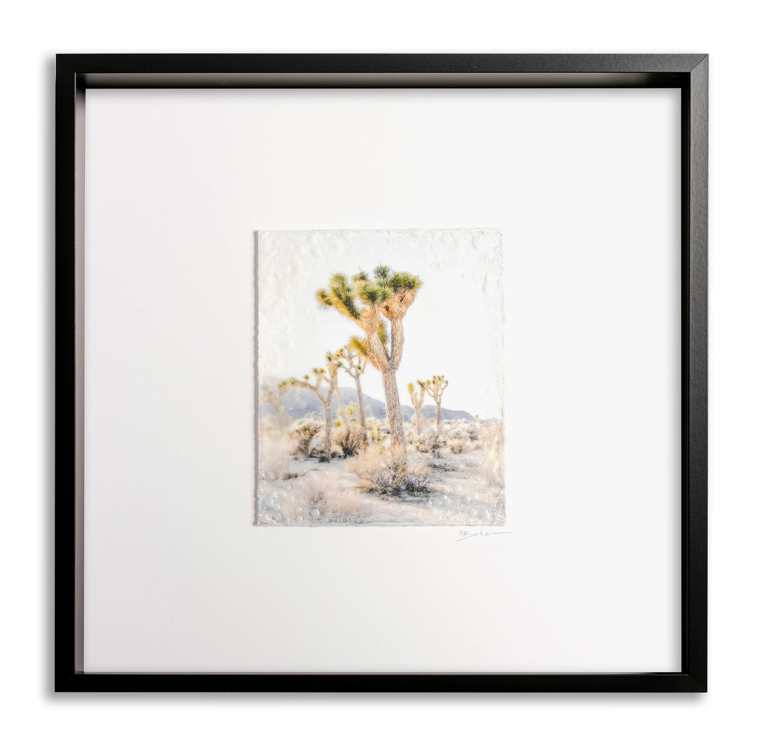 Big Skies Joshua Tree by Kayla Barker.jpg