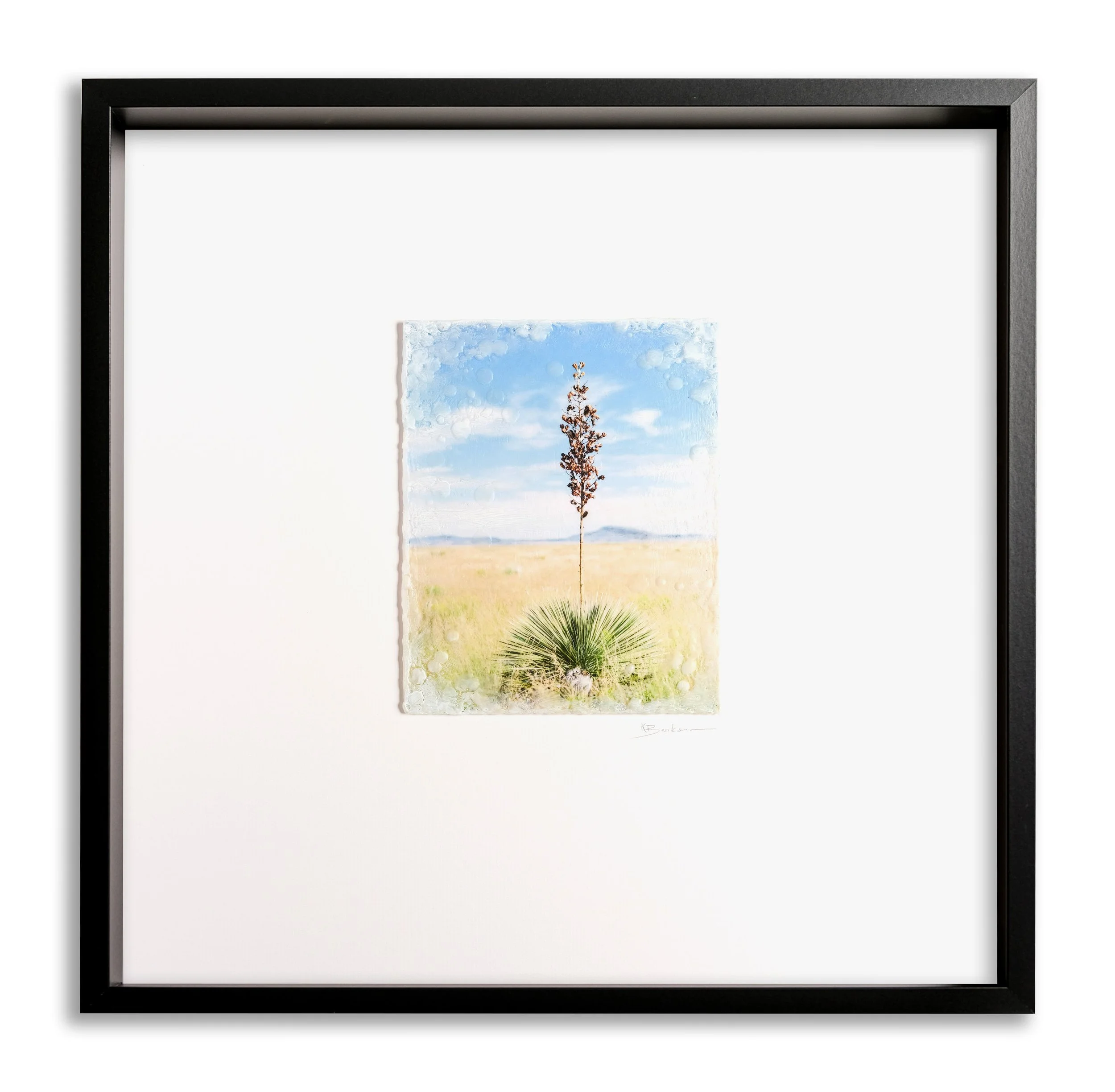 Big Skies Lone Yucca by Kayla Barker.jpg