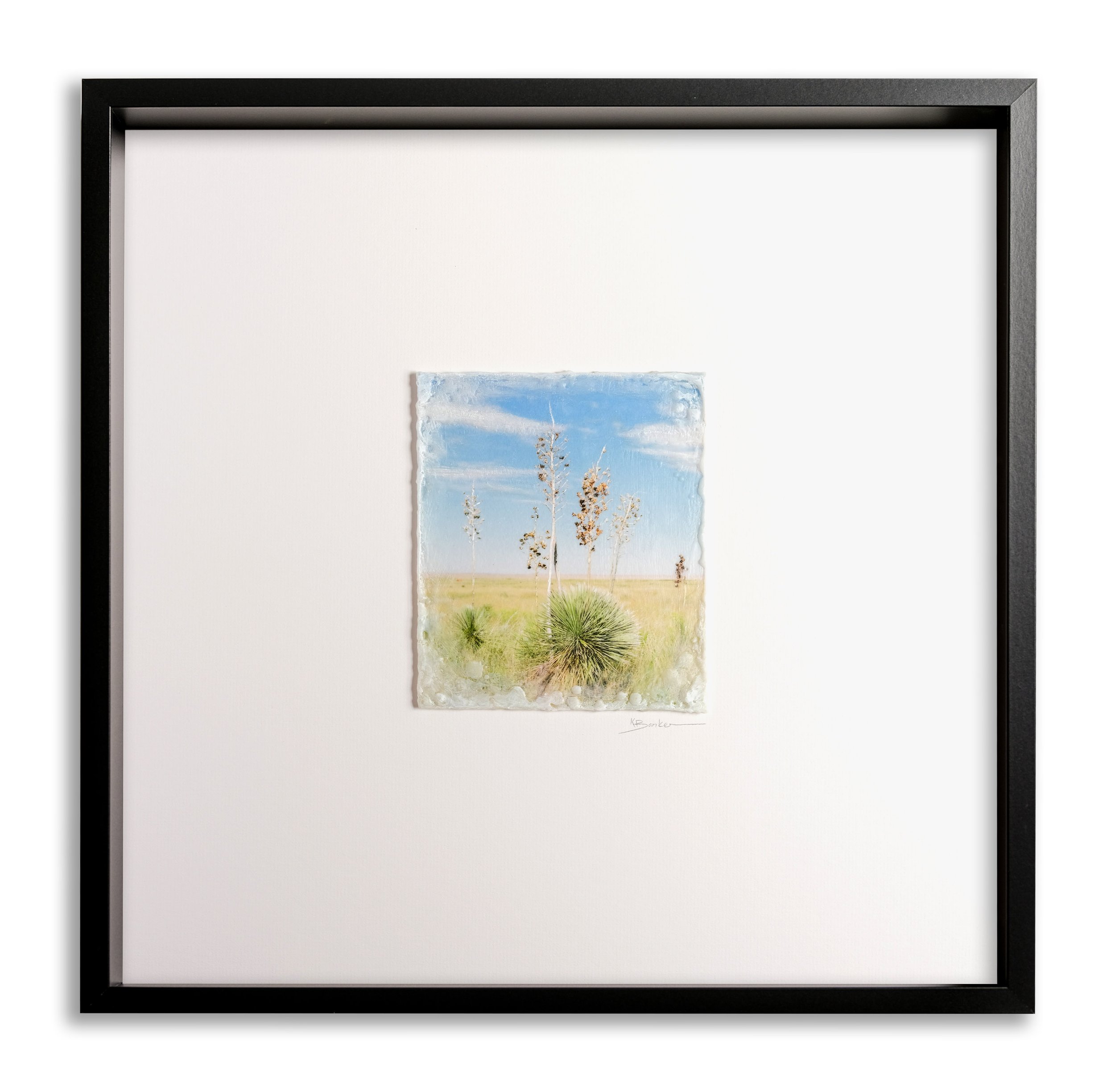 Yuccas on the Plains