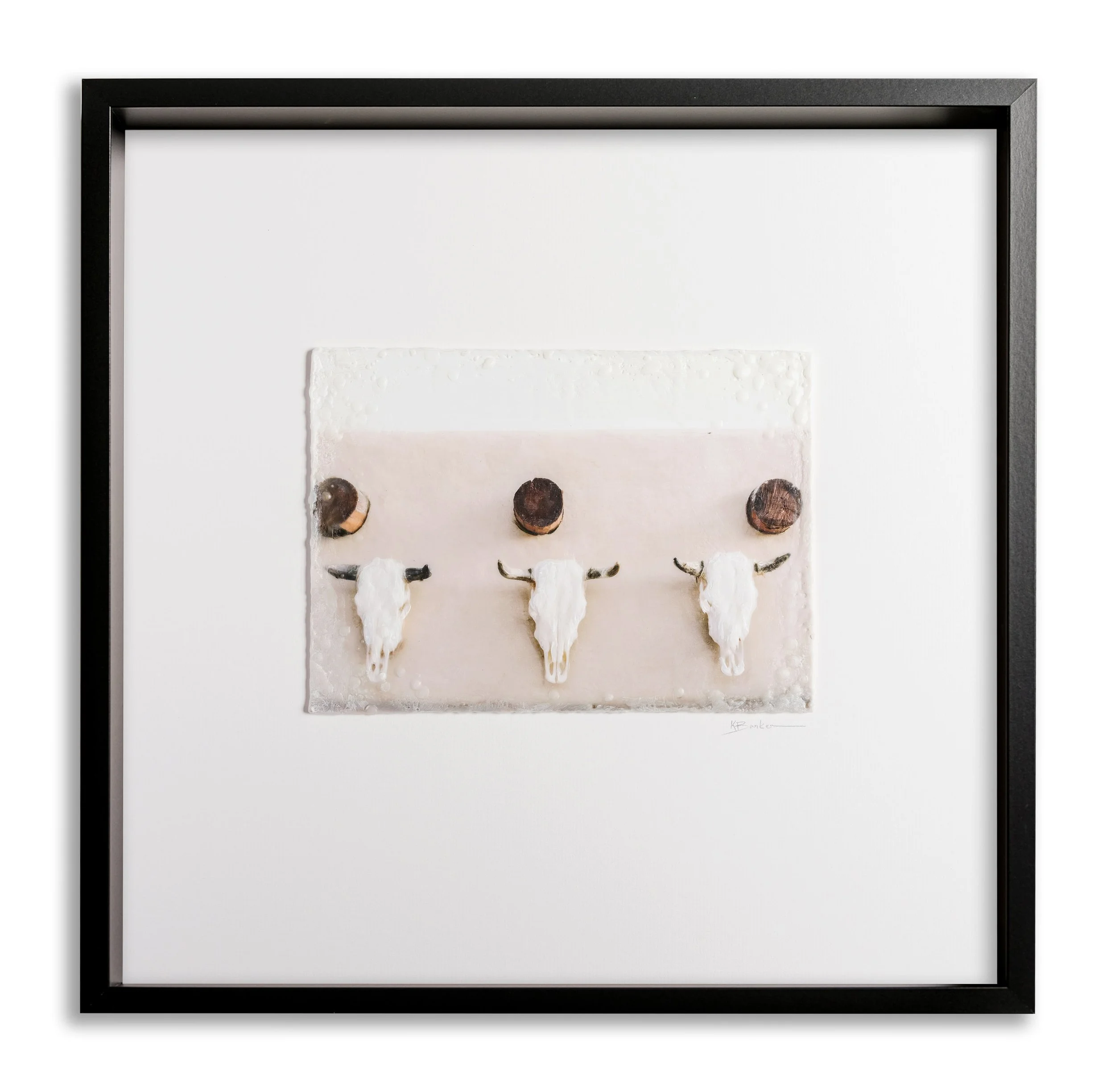 Big Skies Three Skulls by Kayla Barker.jpg