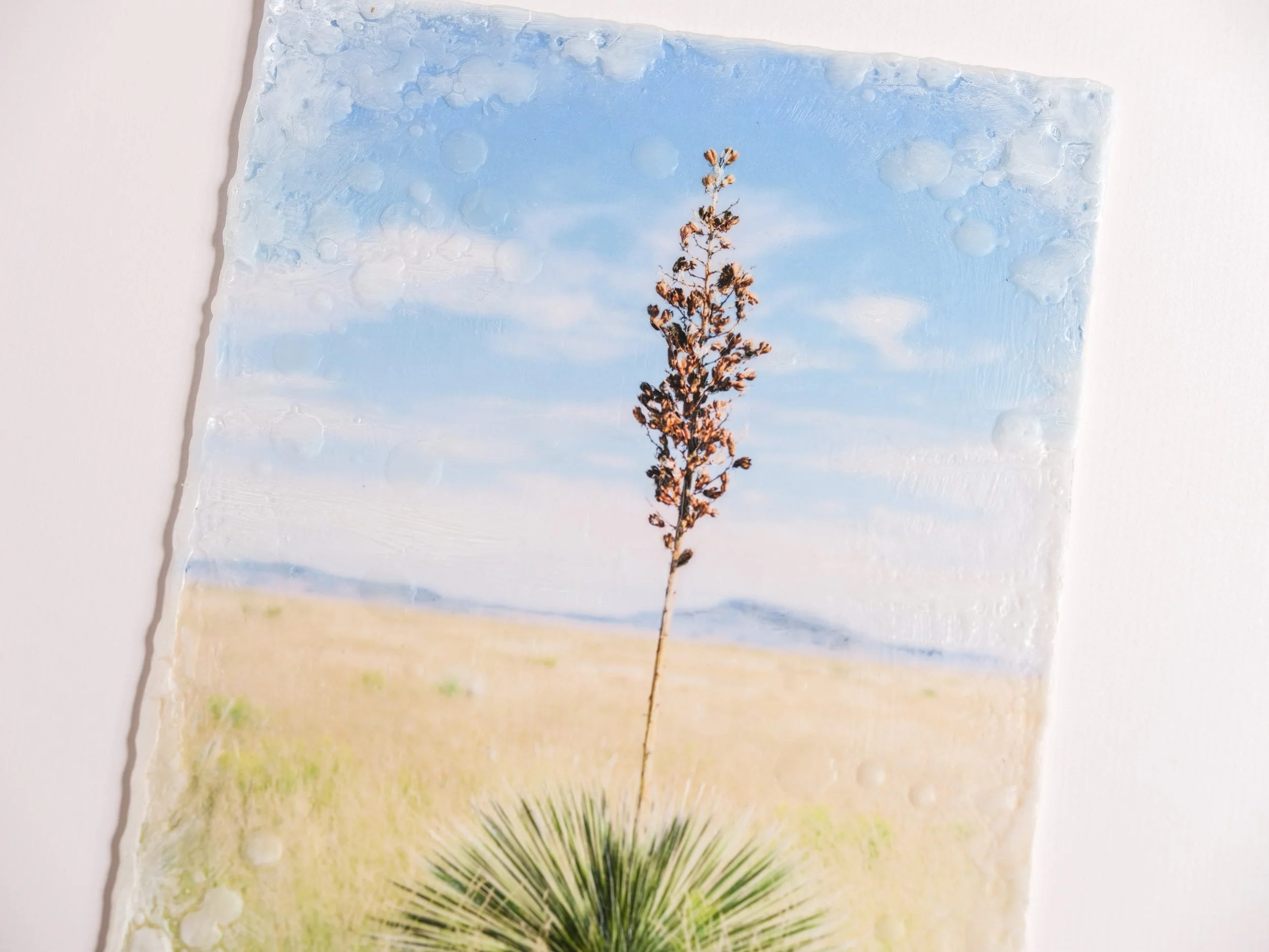 Big Skies Open Roads Images by Kayla Barker-52.jpg