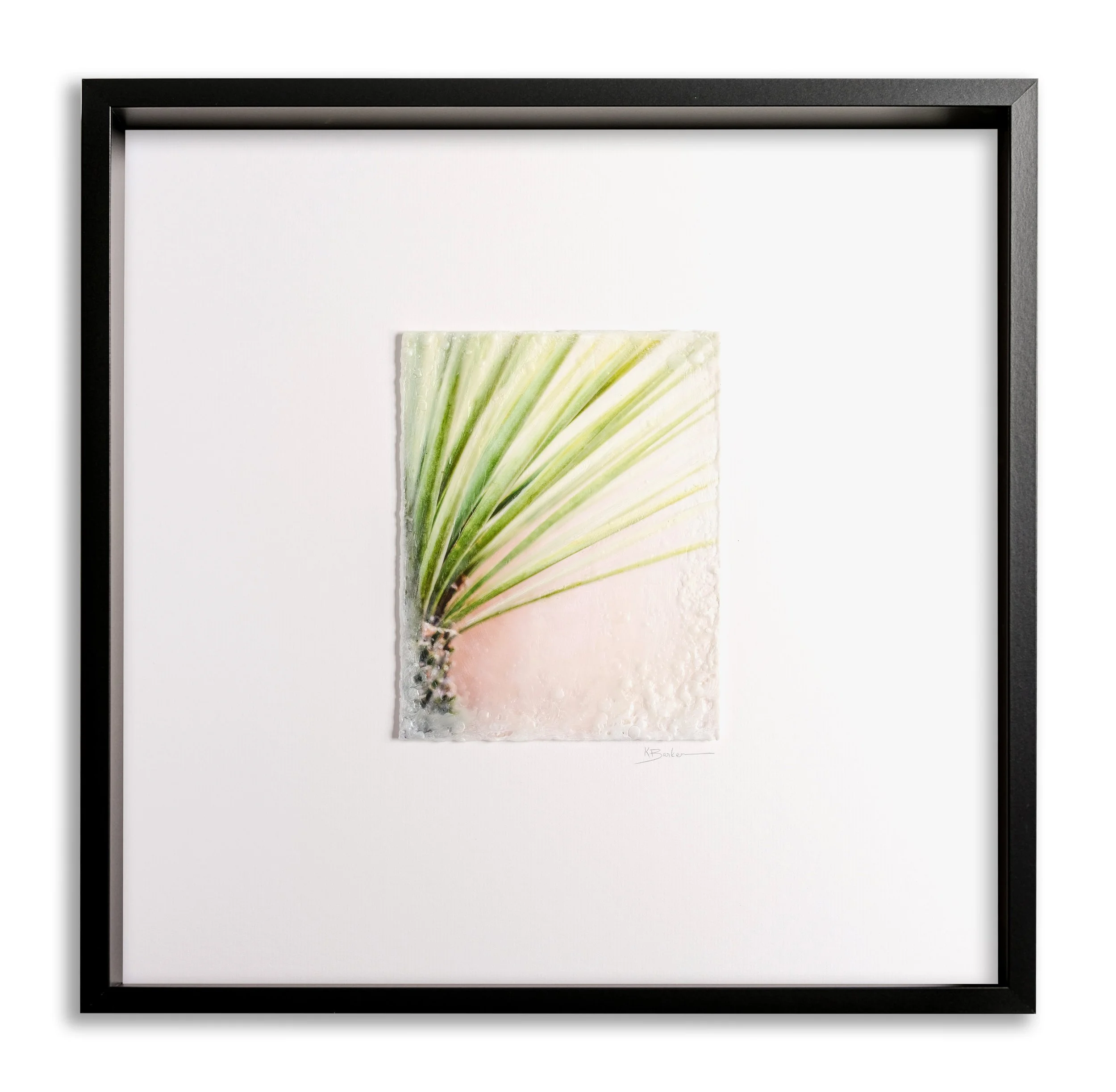 Big Skies Yucca by Kayla Barker.jpg
