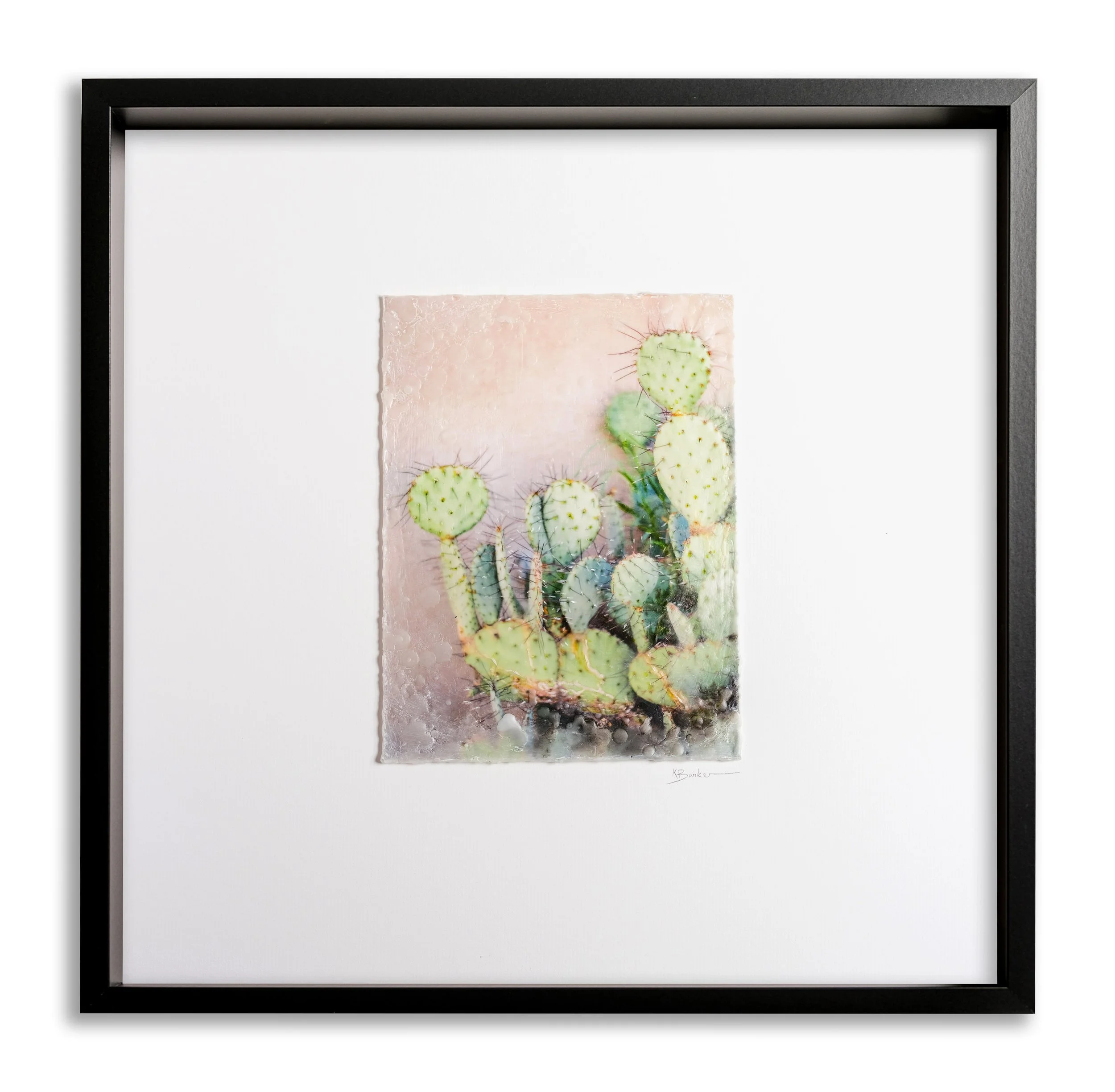 Big Skies Sharp Cactus by Kayla Barker.jpg
