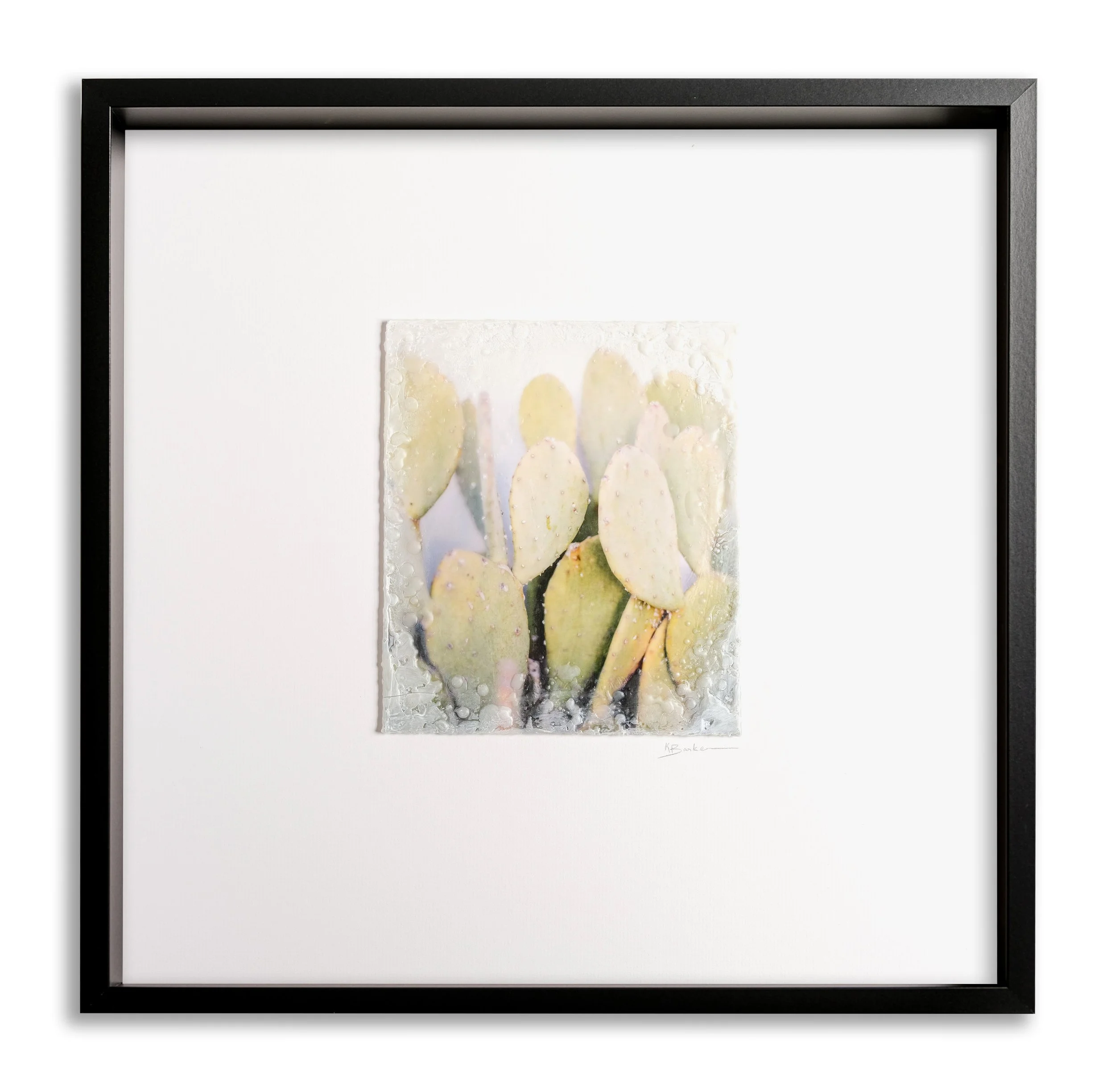Big Skies Pickly Pear by Kayla Barker.jpg