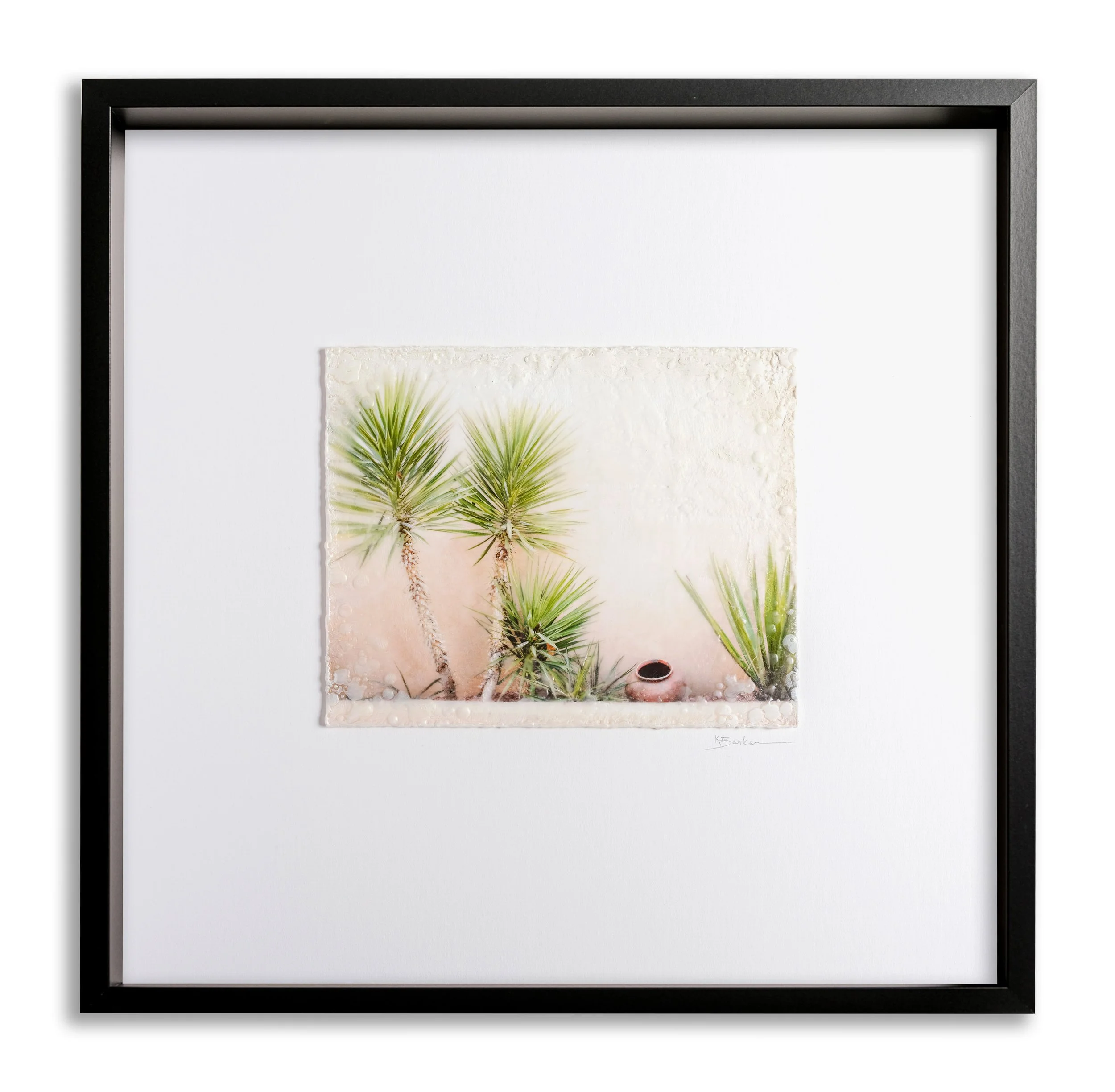 Big Skies Wall of Yuccas by Kayla Barker.jpg