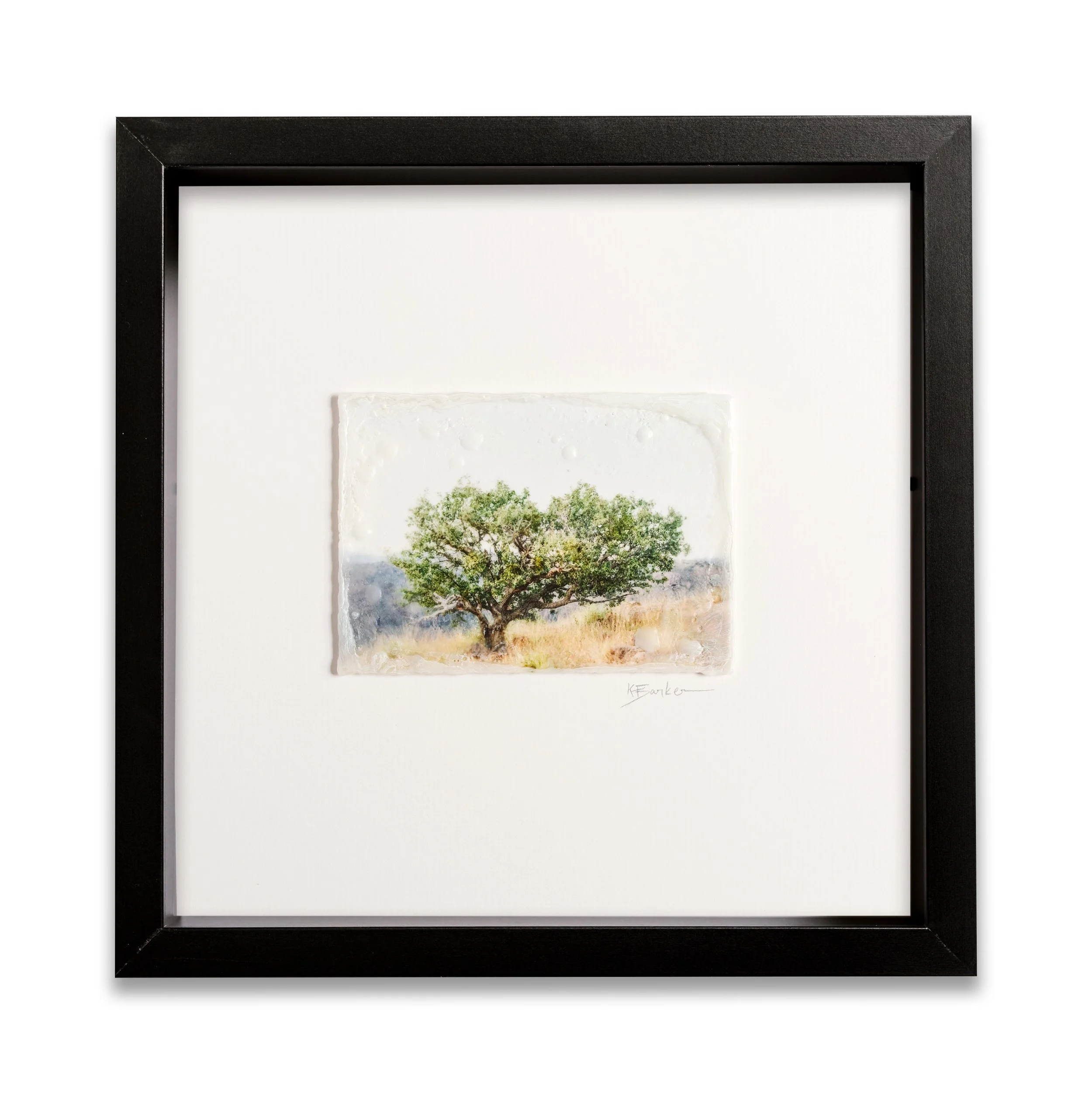 Big Skies Mesquite on the Mountain by Kayla Barker.jpg
