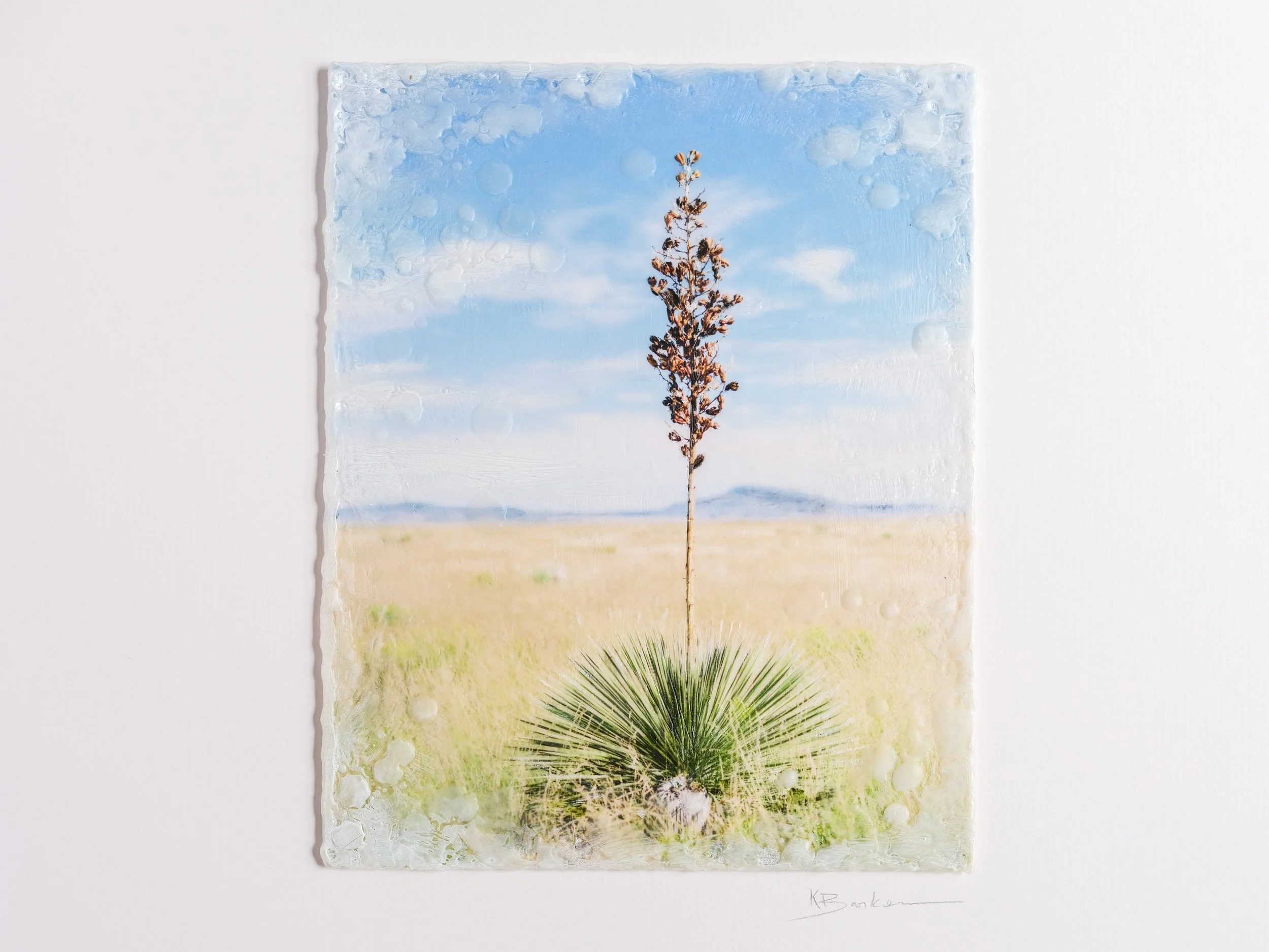 Big Skies Open Roads Images by Kayla Barker-51.jpg