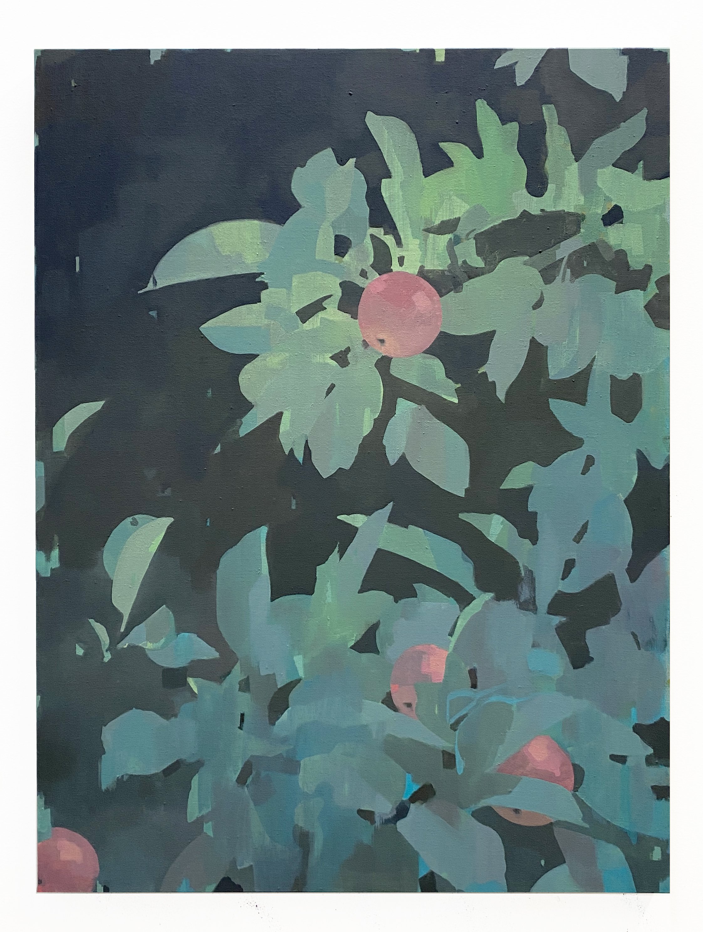 Apple Tree (This Night)