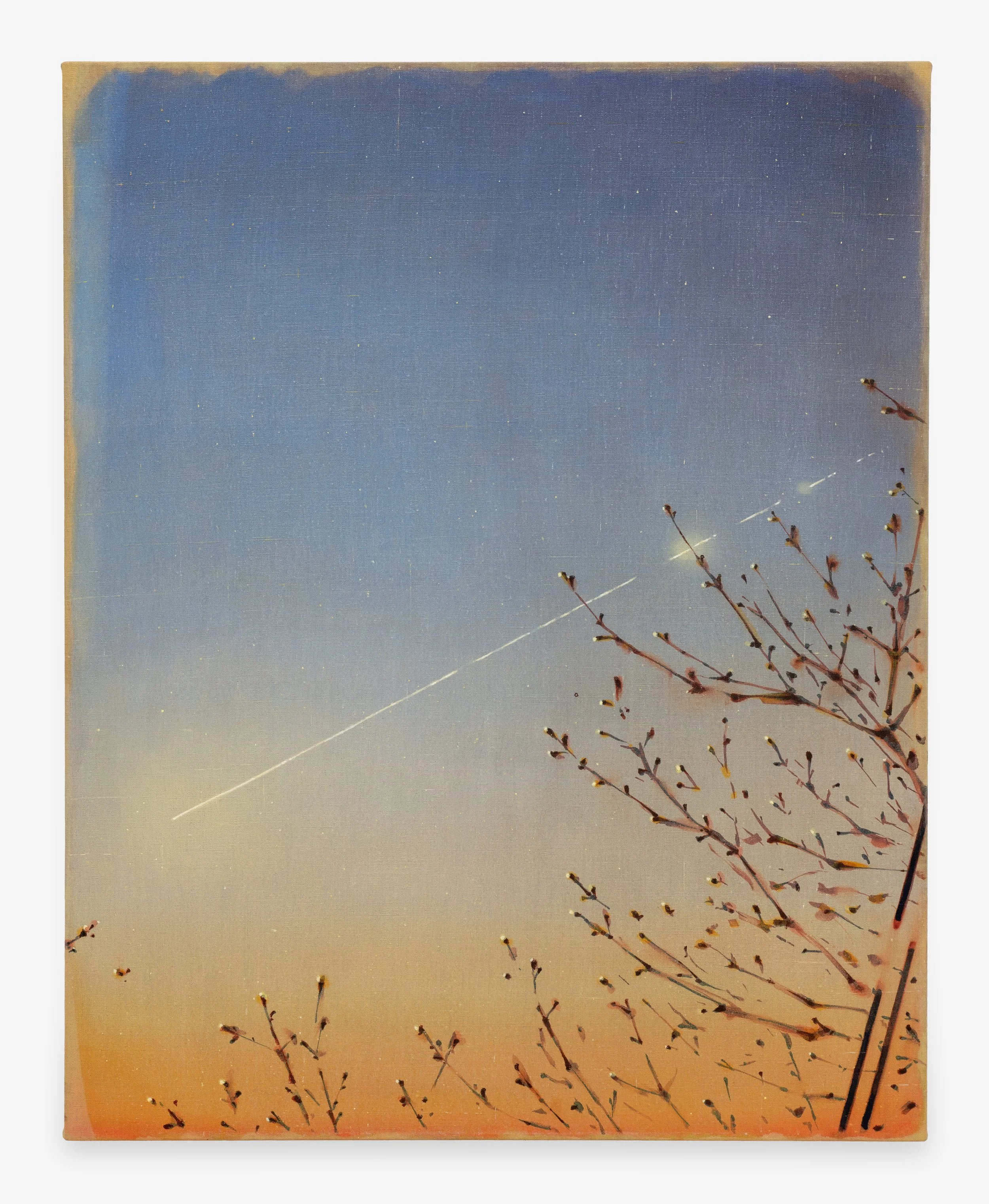 Early Spring Landing