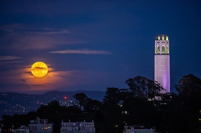 #SuperWormMoon rising next to #CoitTower.
.
@canonusa #6Dmkii @nikonusa 300mm f2.8 lens +/- 2 stop bracket
.
#sanfrancisco #california #sunset #moon #lombardstreet #photographylife #f8andbethere #nightskyphotography