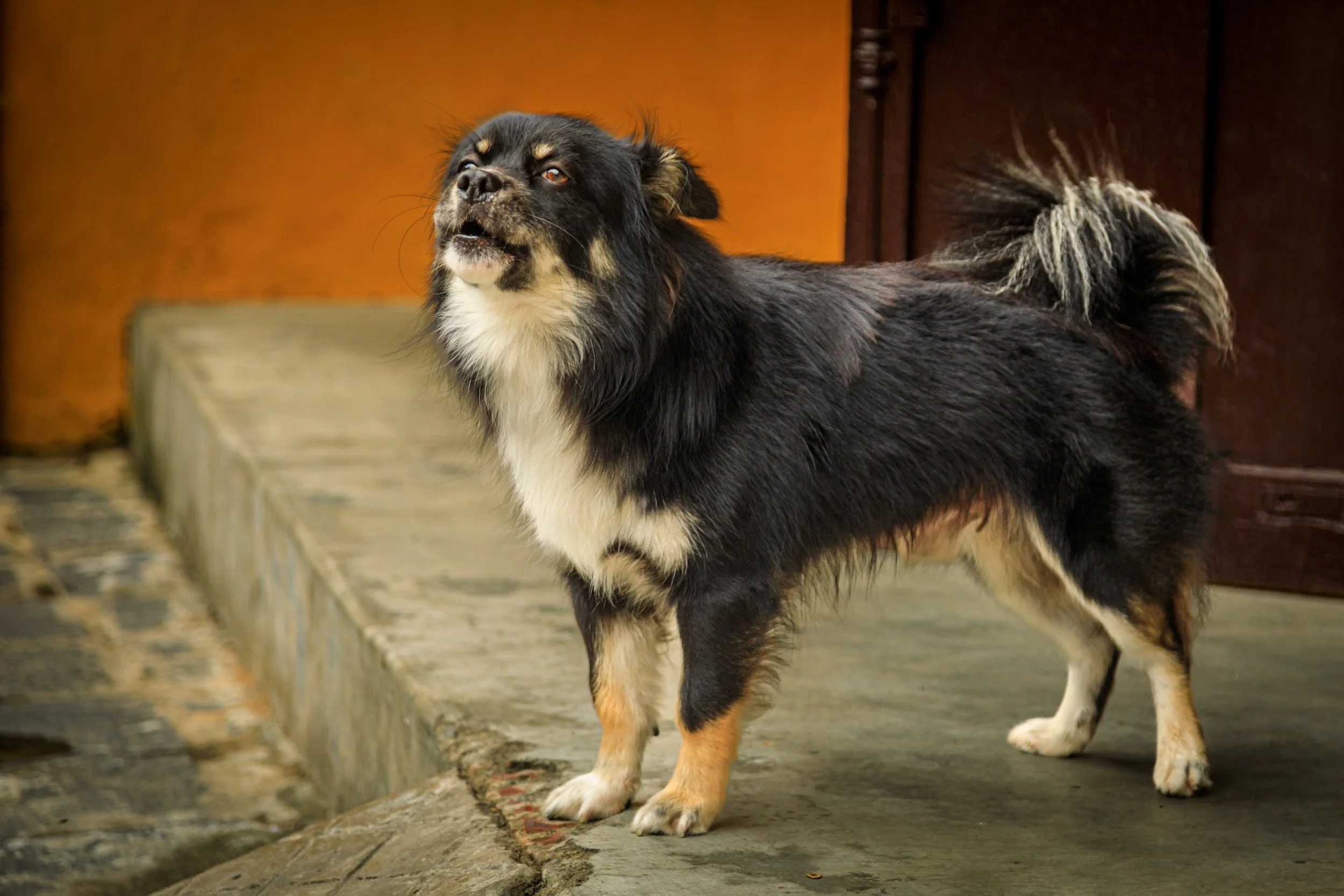 152302_Hoi An Streets_798.jpg