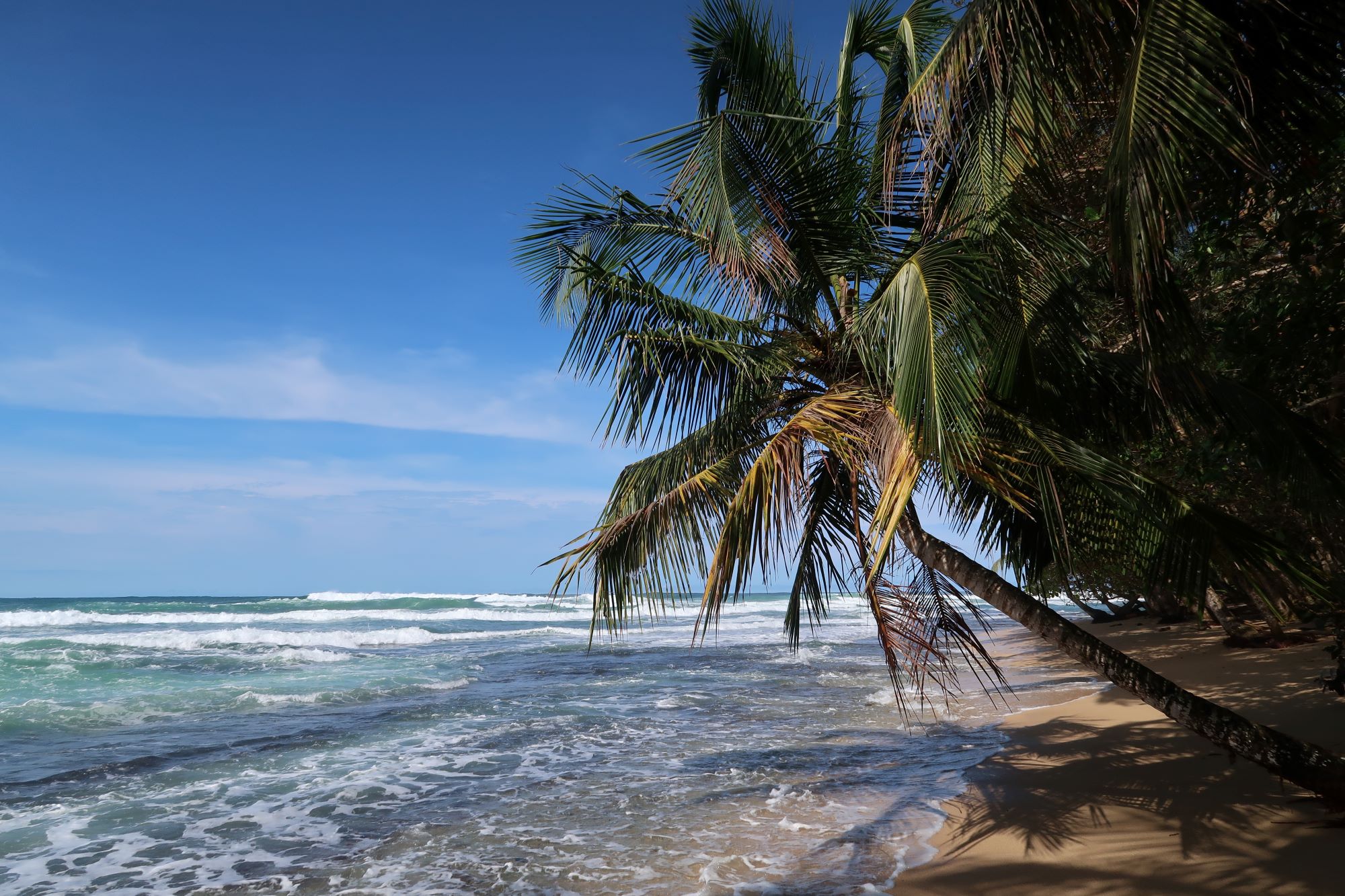 Can you afford Costa Rica?