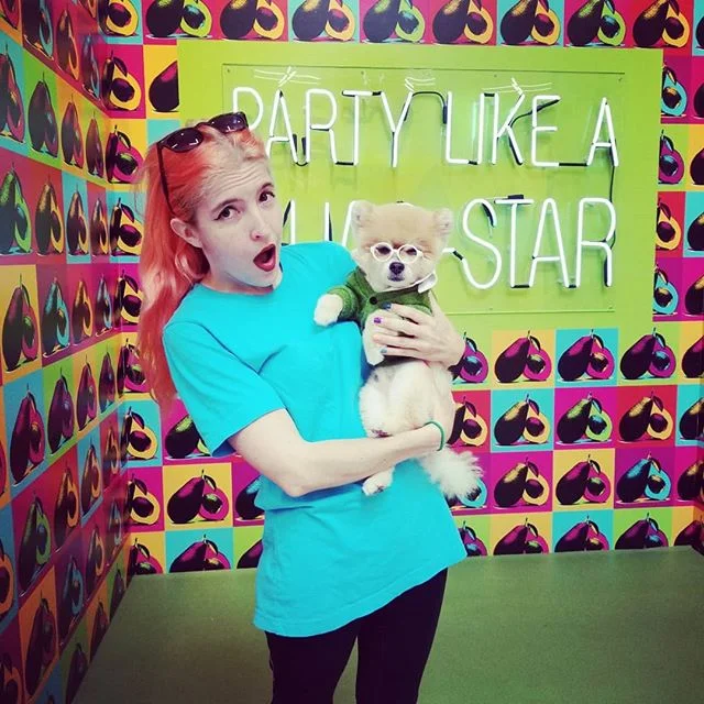 The guests that arrive are often fabulous &amp; well dressed but today @bentleythepom_la was my faves!! #tacotopia #pomeranian #pupsofinstagram #rad #mydayinLA #awesome #fabulous #best #tacolife #bestlife #allthedogs #LA