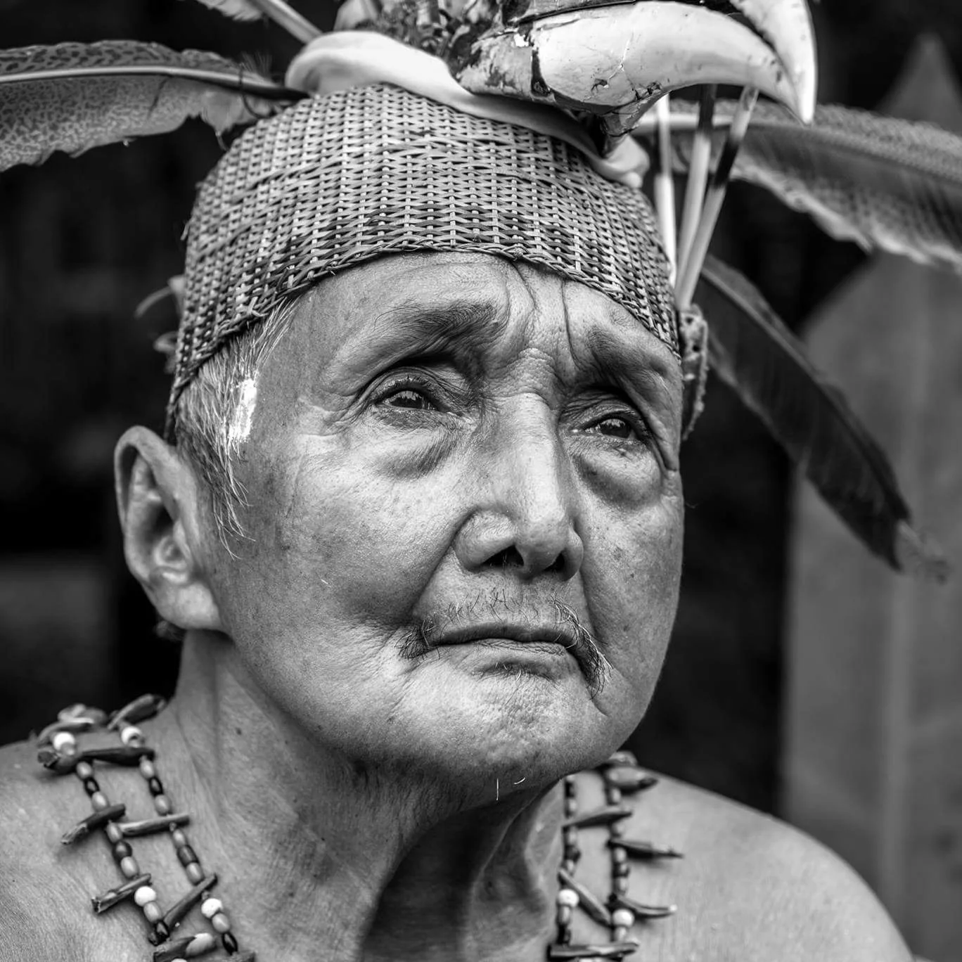 THE ANSWER: DAYAK MAANYAN