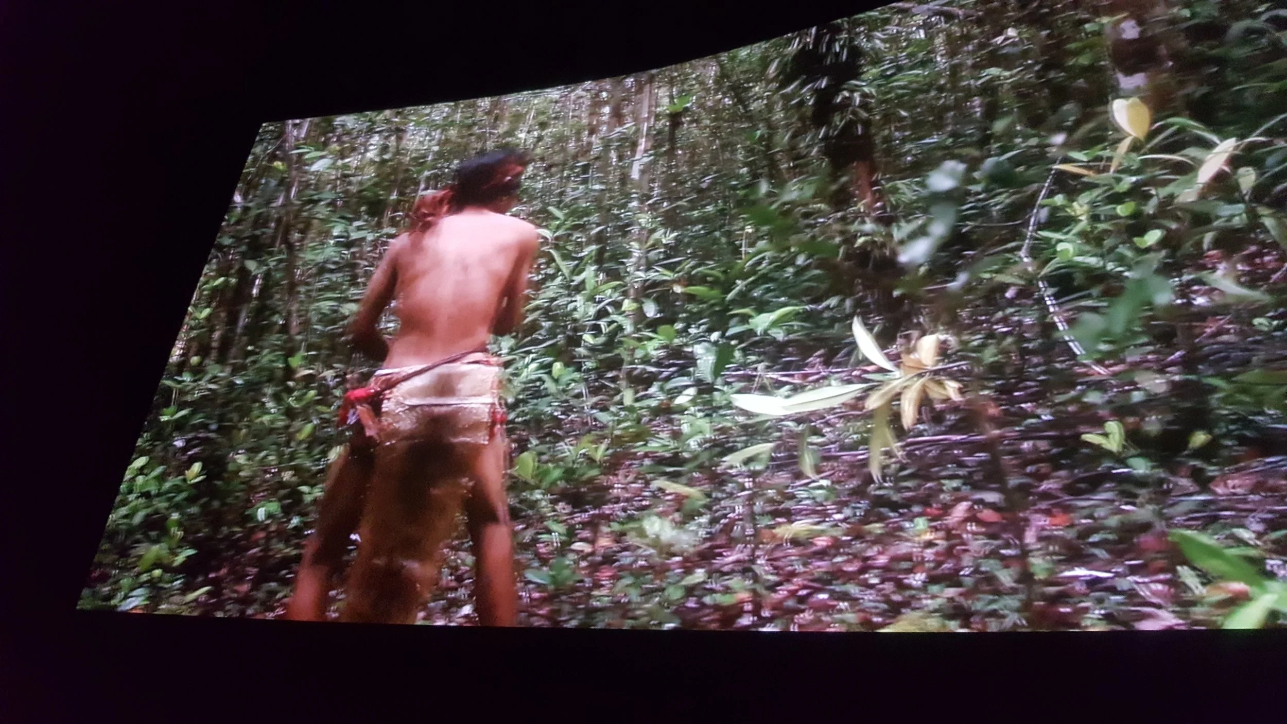 Screening film An Encounter With The Creator
