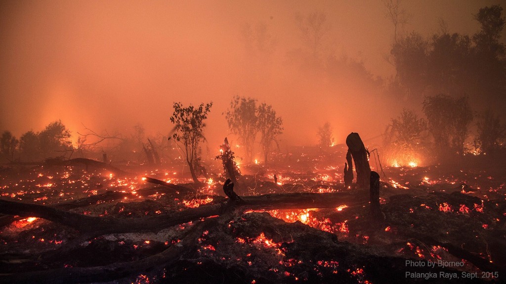 Peat fire 2015. Photo by Bjorn Vaughn