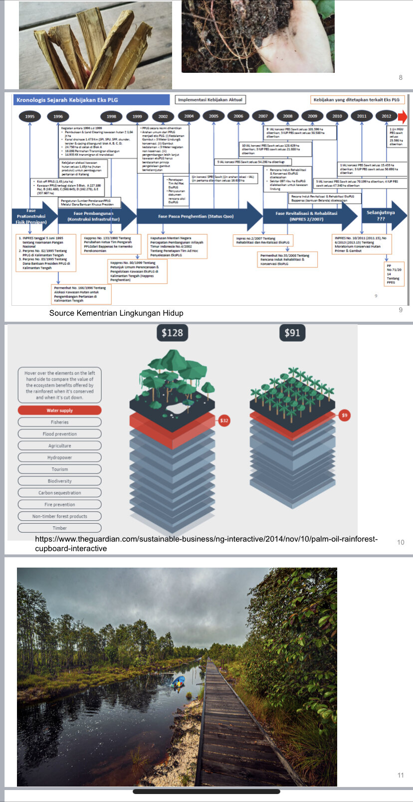Webinar  “Discussing Environmental Issues in Kalimantan through Youth Perspective.”