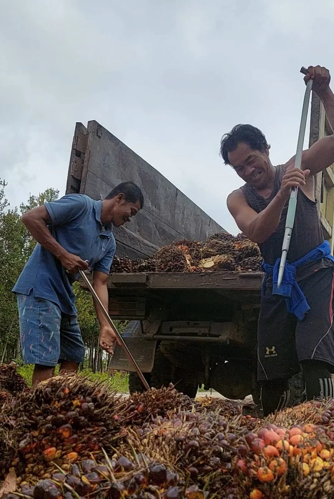 How life changed after palm oil came