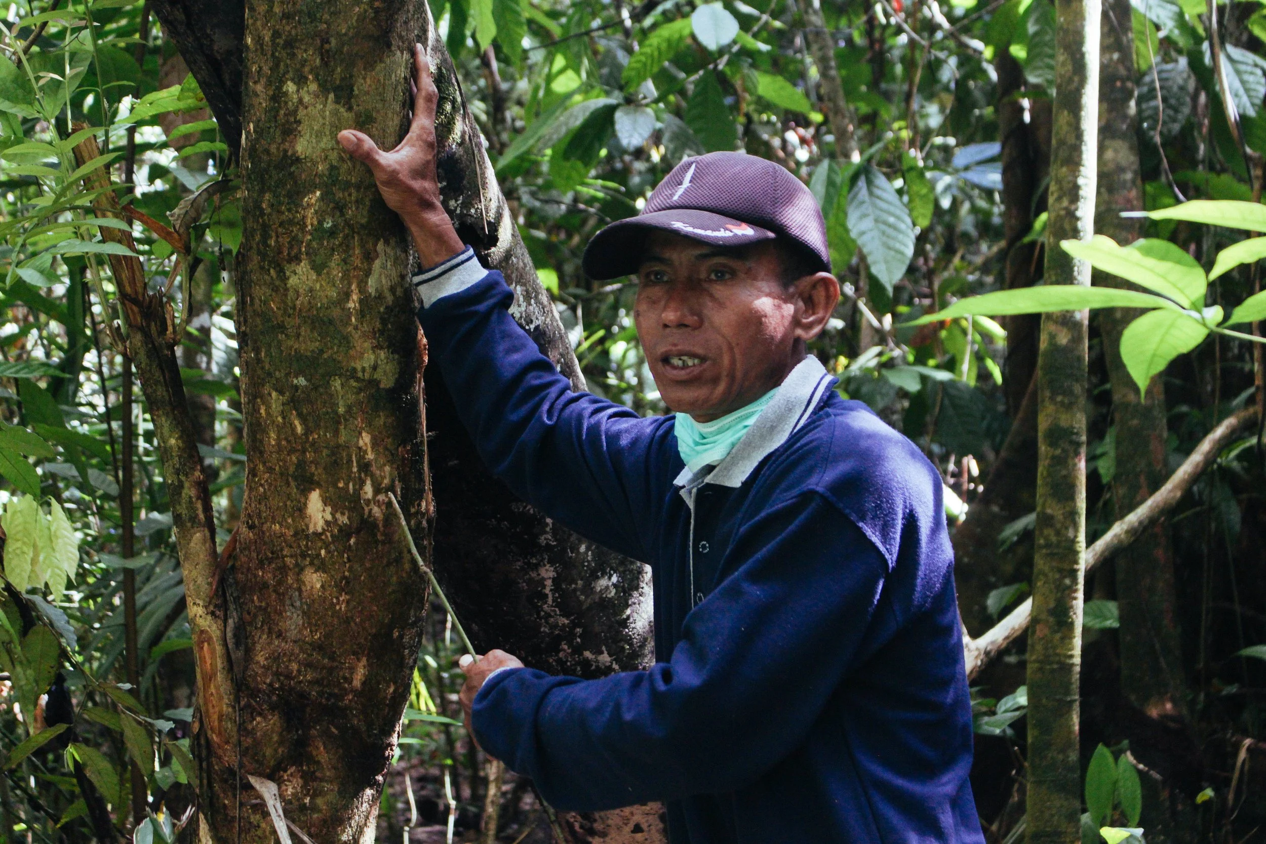 Peresto’s‌ ‌ecosystem‌ ‌restoration‌ ‌journey:‌ ‌finding‌ ‌a‌ ‌way‌ ‌back‌ ‌to‌ ‌nature‌