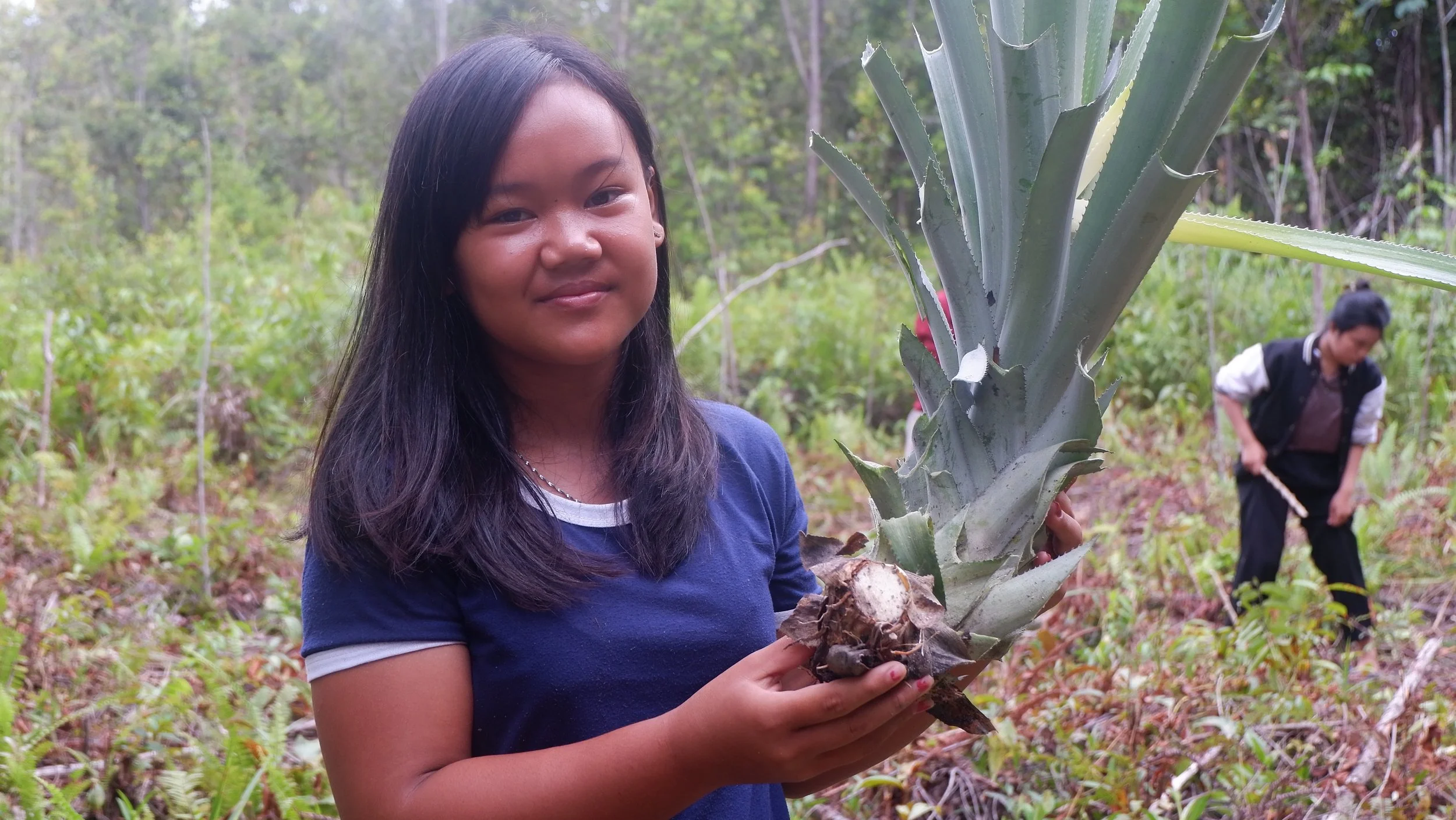 Developing Agroforestry in the Dayak Maanyan Village