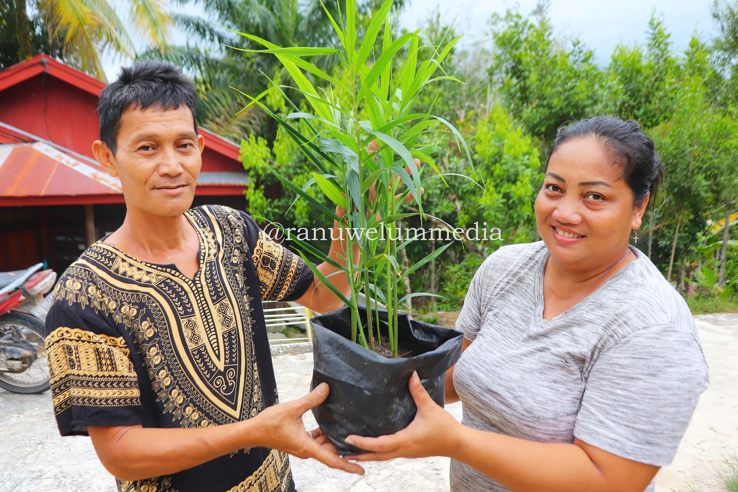 Update on the Progress of Organic Farming Program 