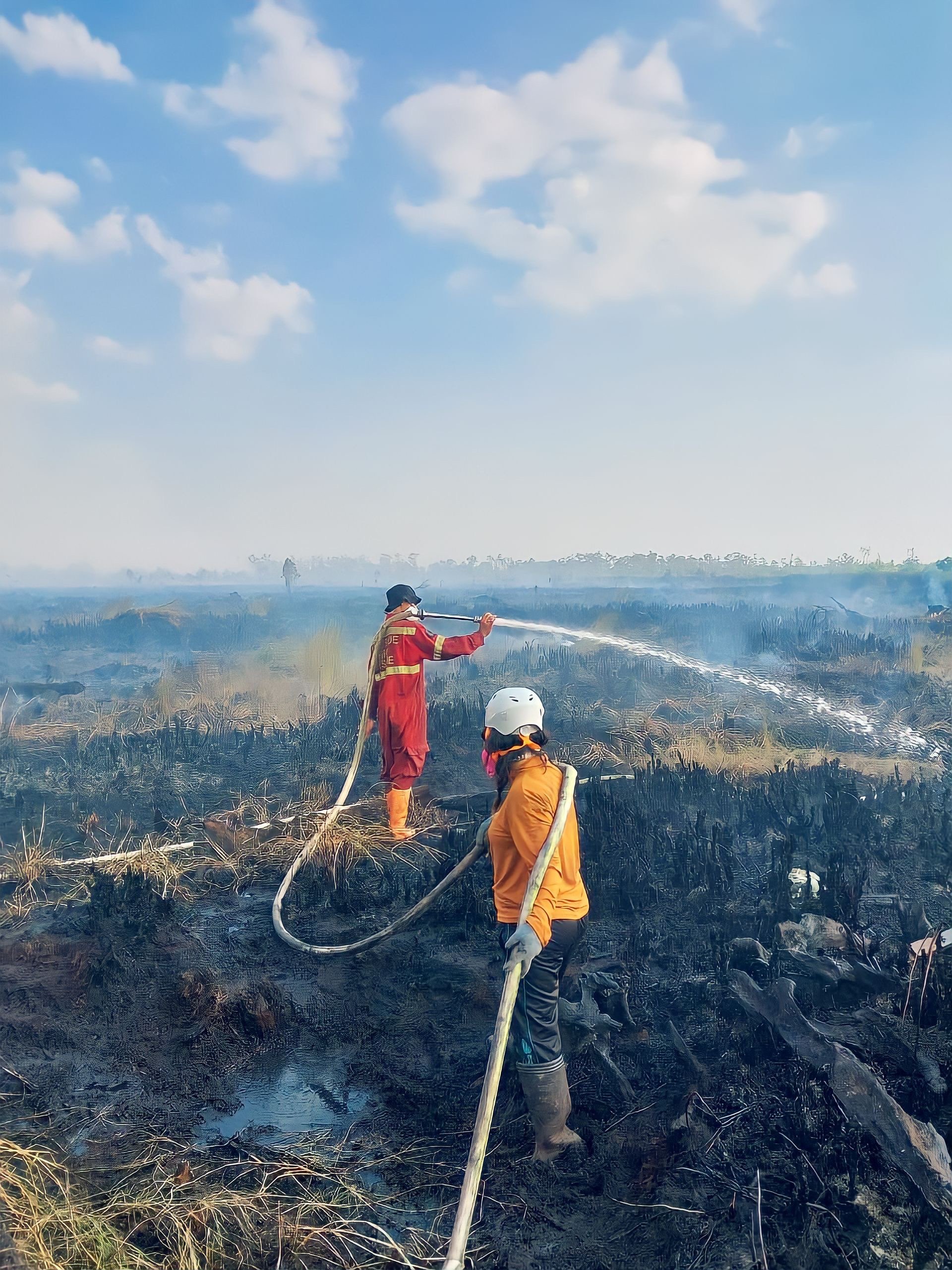 Save Borneo's Rainforest - Why is this an Emergency?&nbsp;🔥