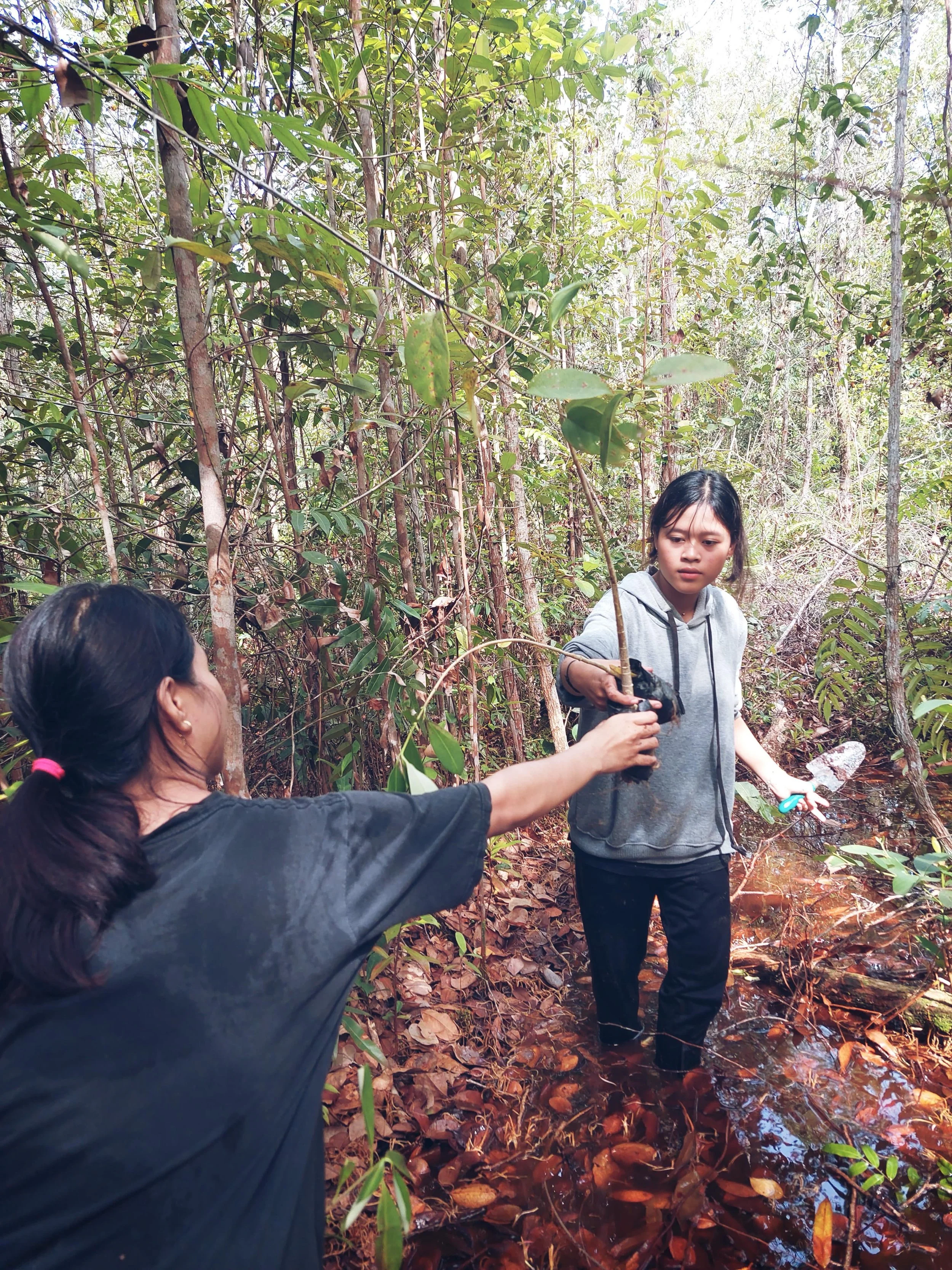 Commemorating World Environment Day at the Tangkiling Peat Forest Ecology Center 
