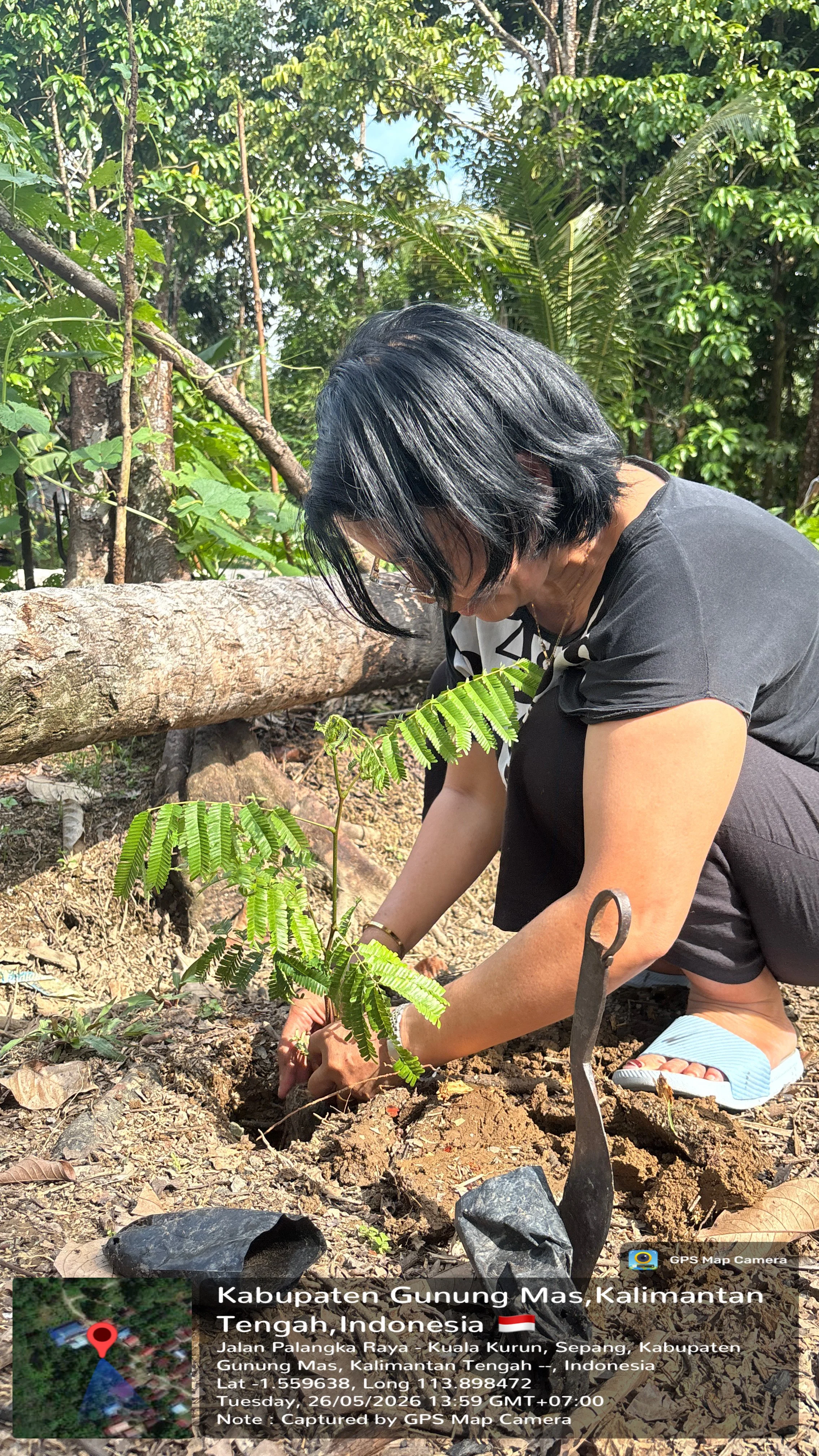 9,000 Tree Seedlings Strengthen Food Security Through Partnership with GKE Church