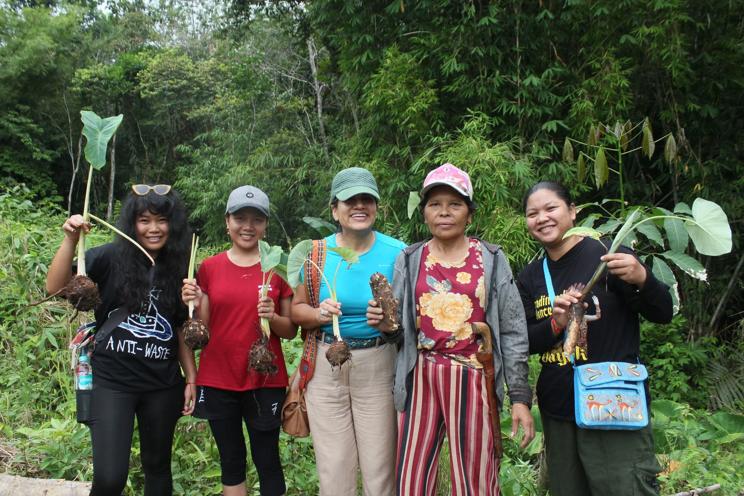 From Amazon to Kalimantan: When Two Rainforests Shared the Same Story