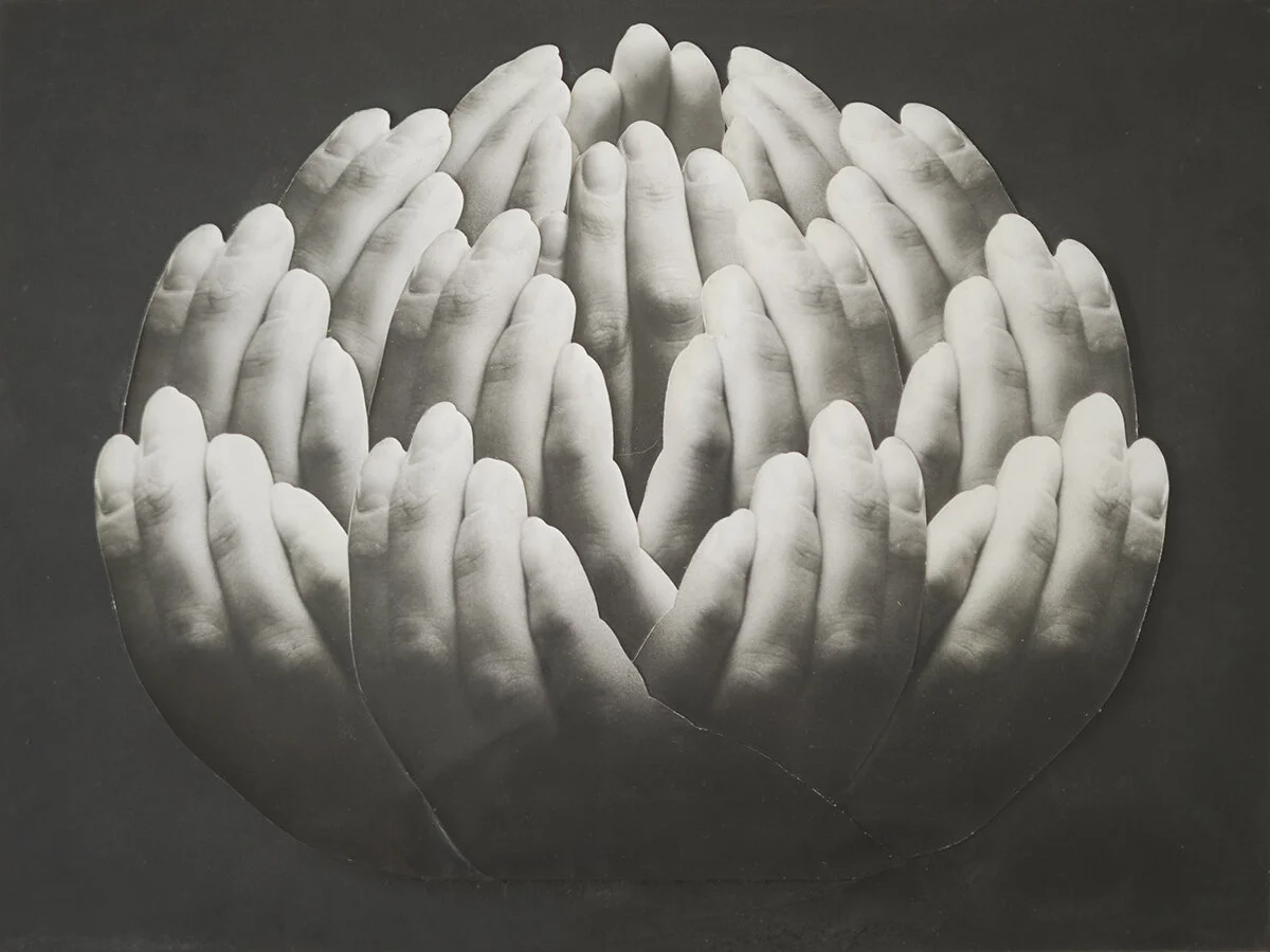 claude-baillargeon-maquette-mains-fleur.jpg