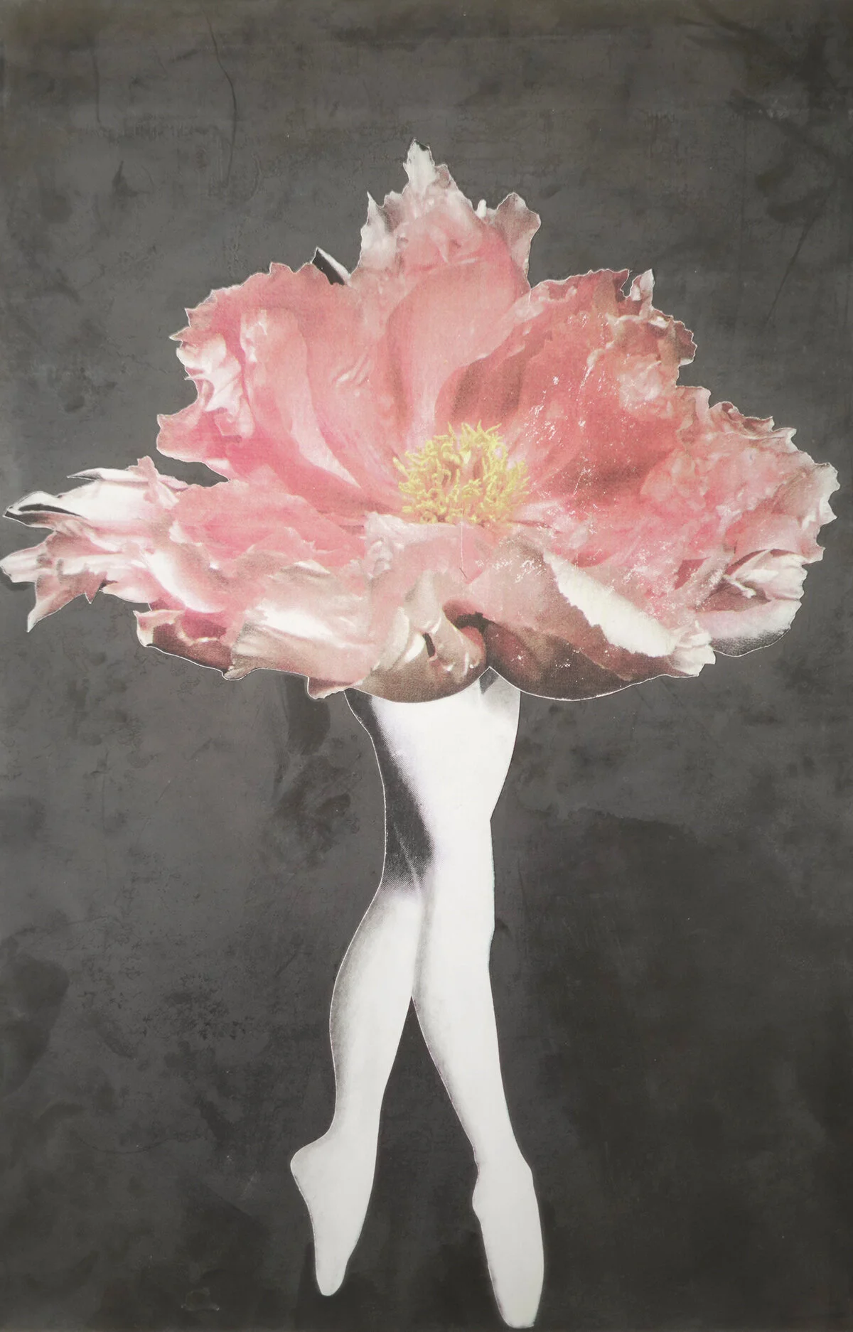 claude-baillargeon-maquette-fleur-jambe.jpg
